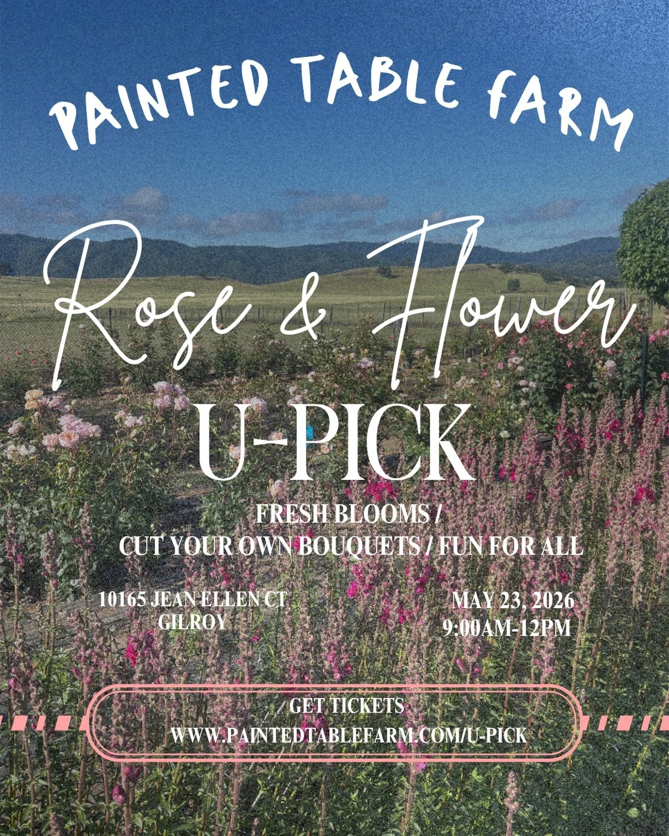 Our next U-Pick is May 23! We&rsquo;ll be opening up our back field to the public so you can bring your family to pick fresh organically grown flowers and arrange your own custom bouquet. Fill a jar for $30. Non-pickers in your party can enter for fr
