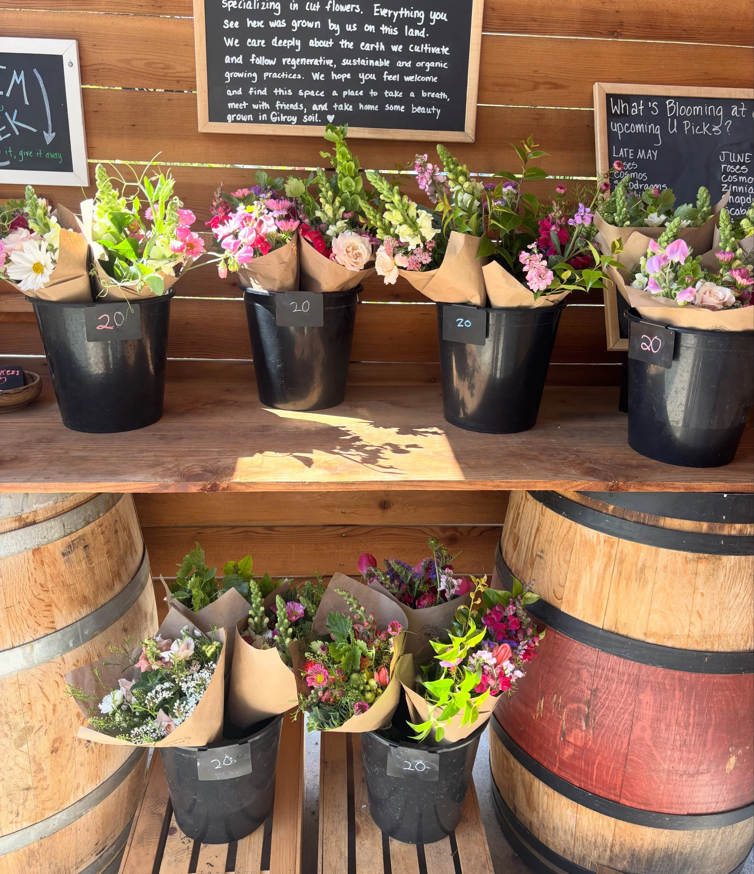 We are open today (Sunday) and tomorrow, Memorial Day. Come by for some beautiful Gilroy-grown flowers for your picnic, barbecues, and friend gatherings. #localflowers #gilroyfarmstand #freshflowerstand