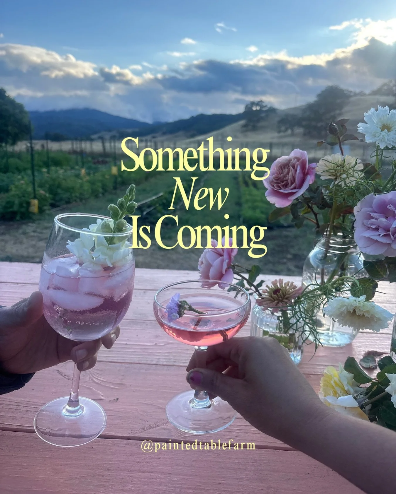 Have you heard? 

Golden hour. Sunset. Dusk.

An herbal wellness drink in one hand. The other is locked in with your love&rsquo;s. 

Quiet music, roosters crowing, birds quieting for the evening. 

On the table is a jar of flowers that you picked you