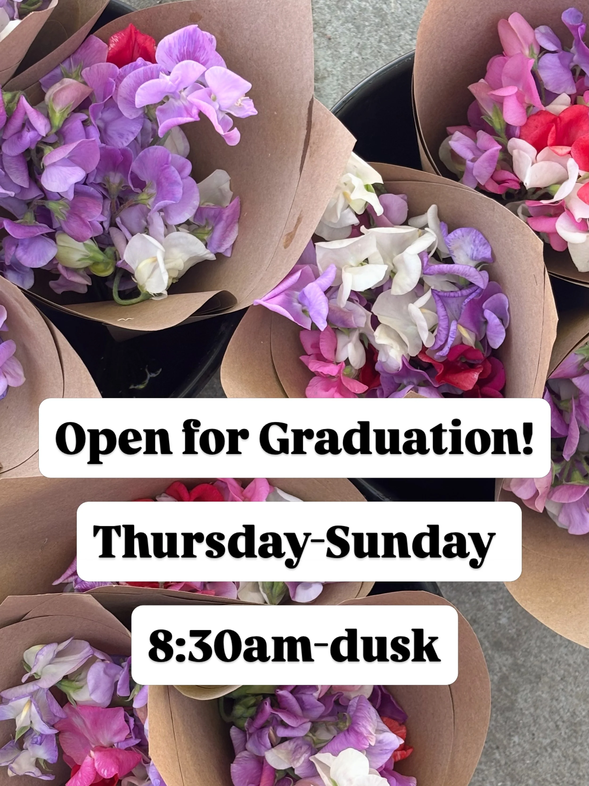 We&rsquo;re open! 

We&rsquo;ve got mixed bouquets and sweet pea bunches! Sweet pea bunches are of limited quantity. 

Due to the heat, we are keeping our stock in the walk-in today and refilling the stand as necessary so your flowers will be at thei
