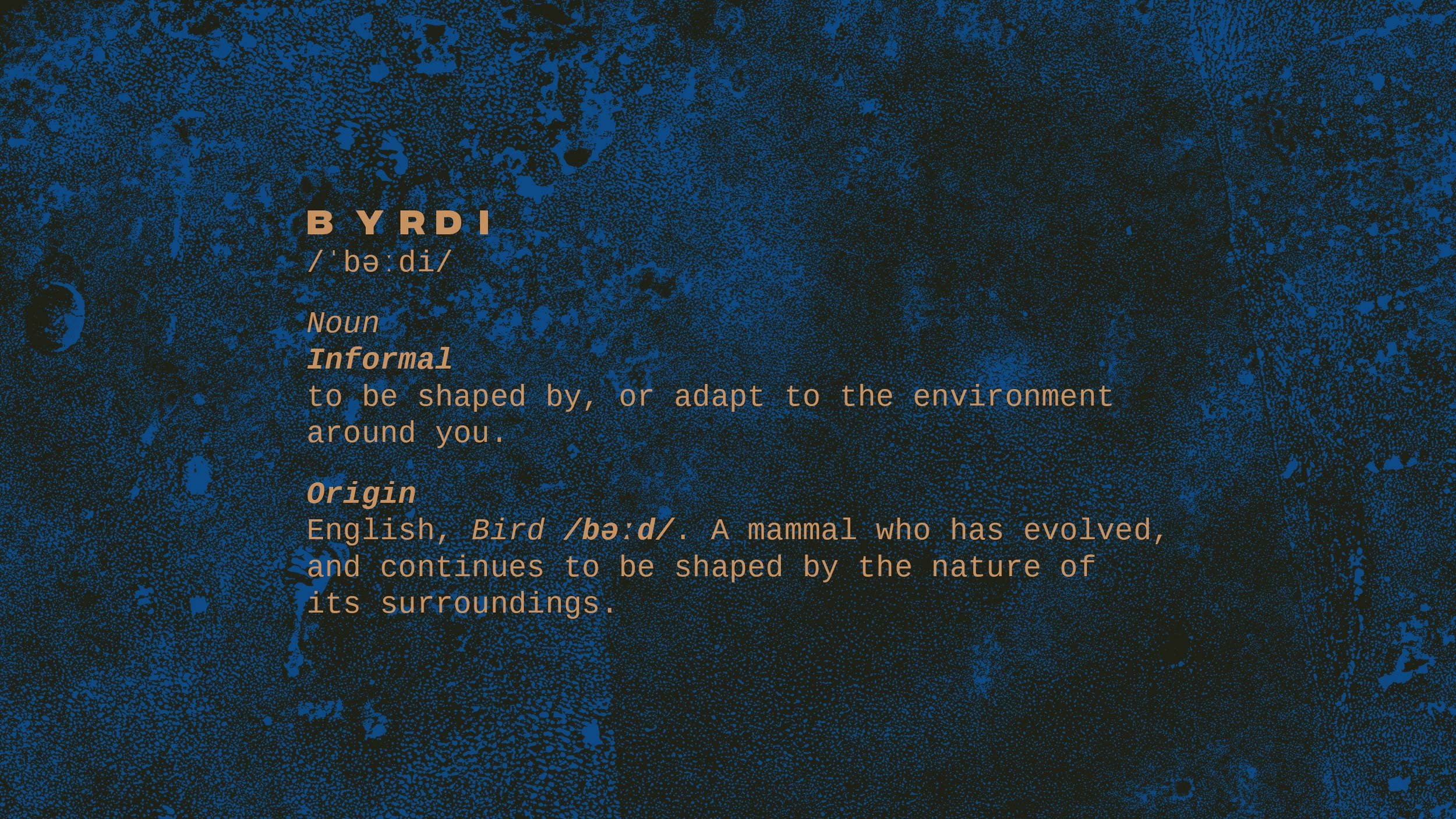 Mustard yellow type displays the Byrdi definition on a blue textured background.