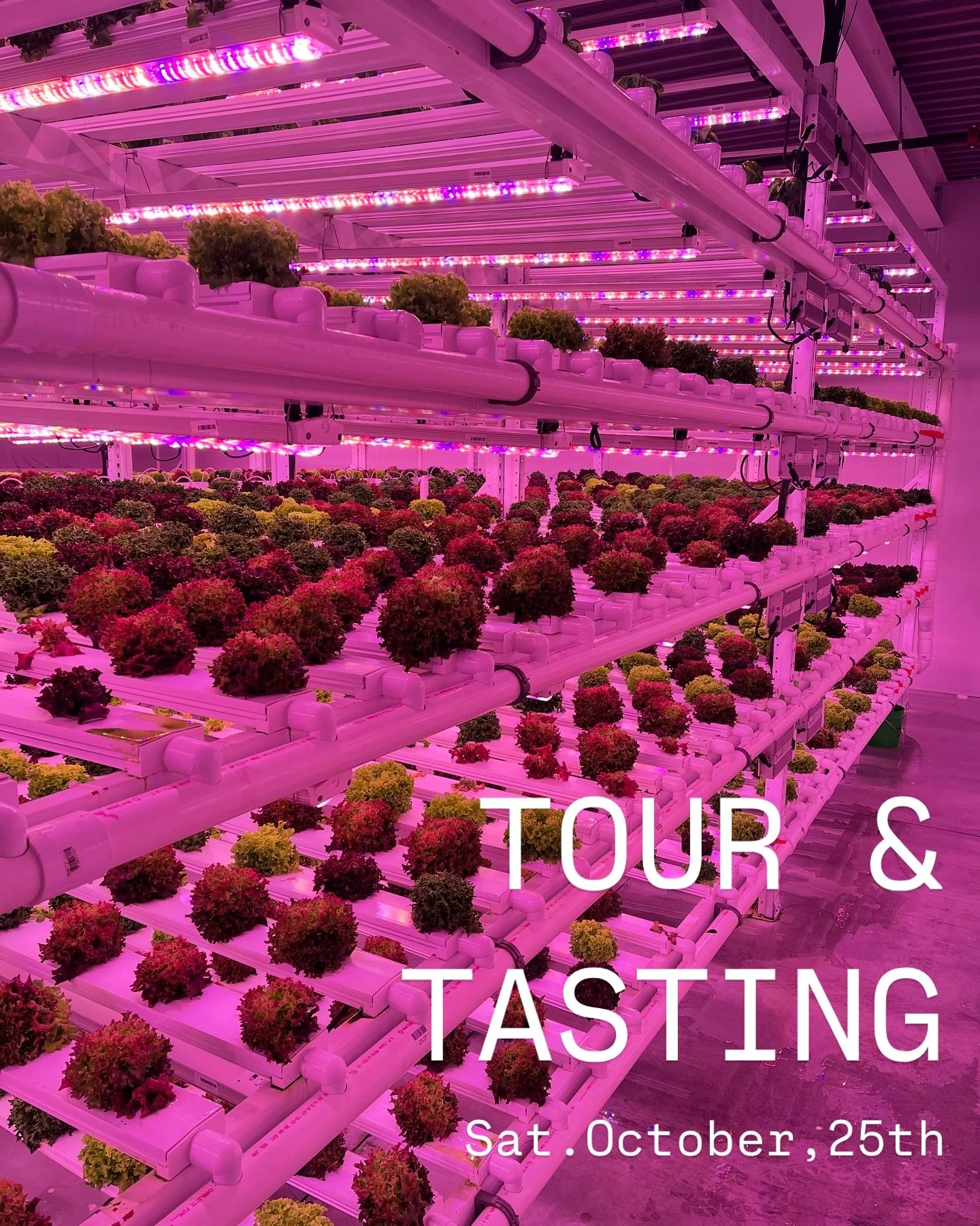 With the cold weather rolling in, it&rsquo;s the perfect time to come tour our hydroponics farm! It&rsquo;s bright, warm, and green here 365 days a year. 🌱
Your ticket includes a behind-the-scenes tour where you&rsquo;ll learn how we grow our produc