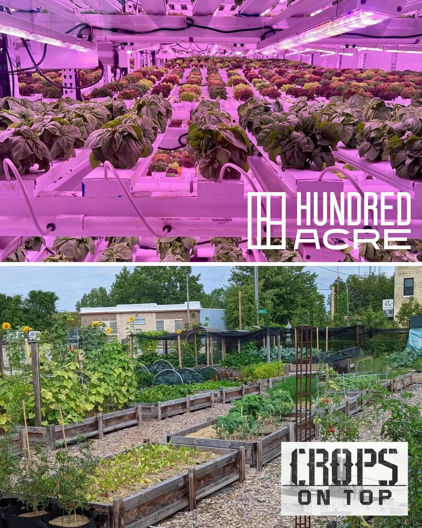 Milwaukee&rsquo;s growing green &mdash; from raised beds to hydroponics. 🌿
@cropsontop and Hundred Acre are proving that you don&rsquo;t need wide-open fields to grow fresh, local food.
Founder Chris Corkery and Joel Lichosik joined @wuwmradio to ta