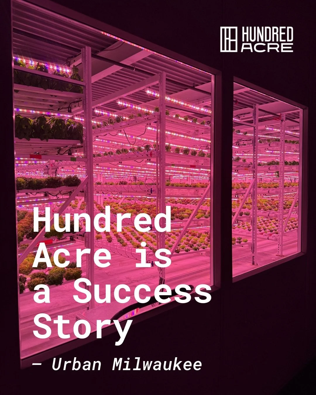 Year-round greens, local jobs, and big growth ahead &mdash; Hundred Acre is a win for Milwaukee.
Read the story (in our bio) to see why everyone&rsquo;s talking about it!! 🤭🌱