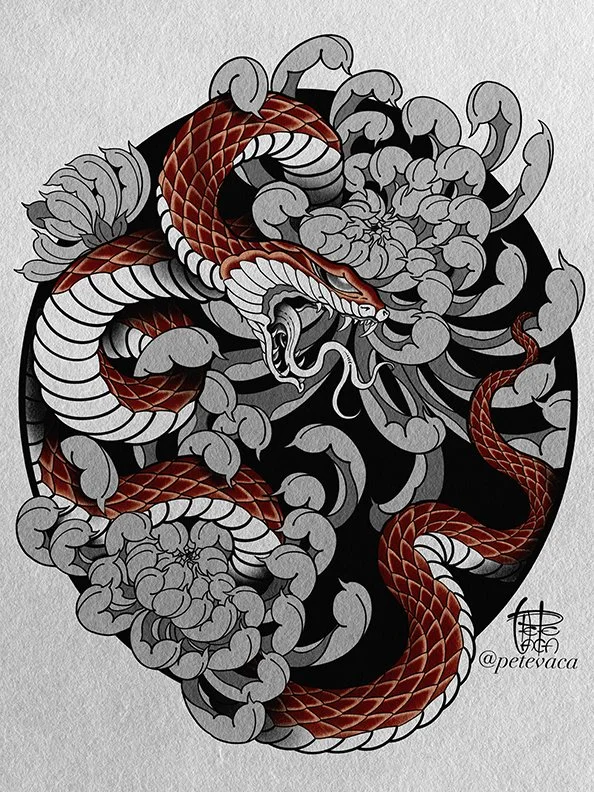 Snake Chrysanthemum