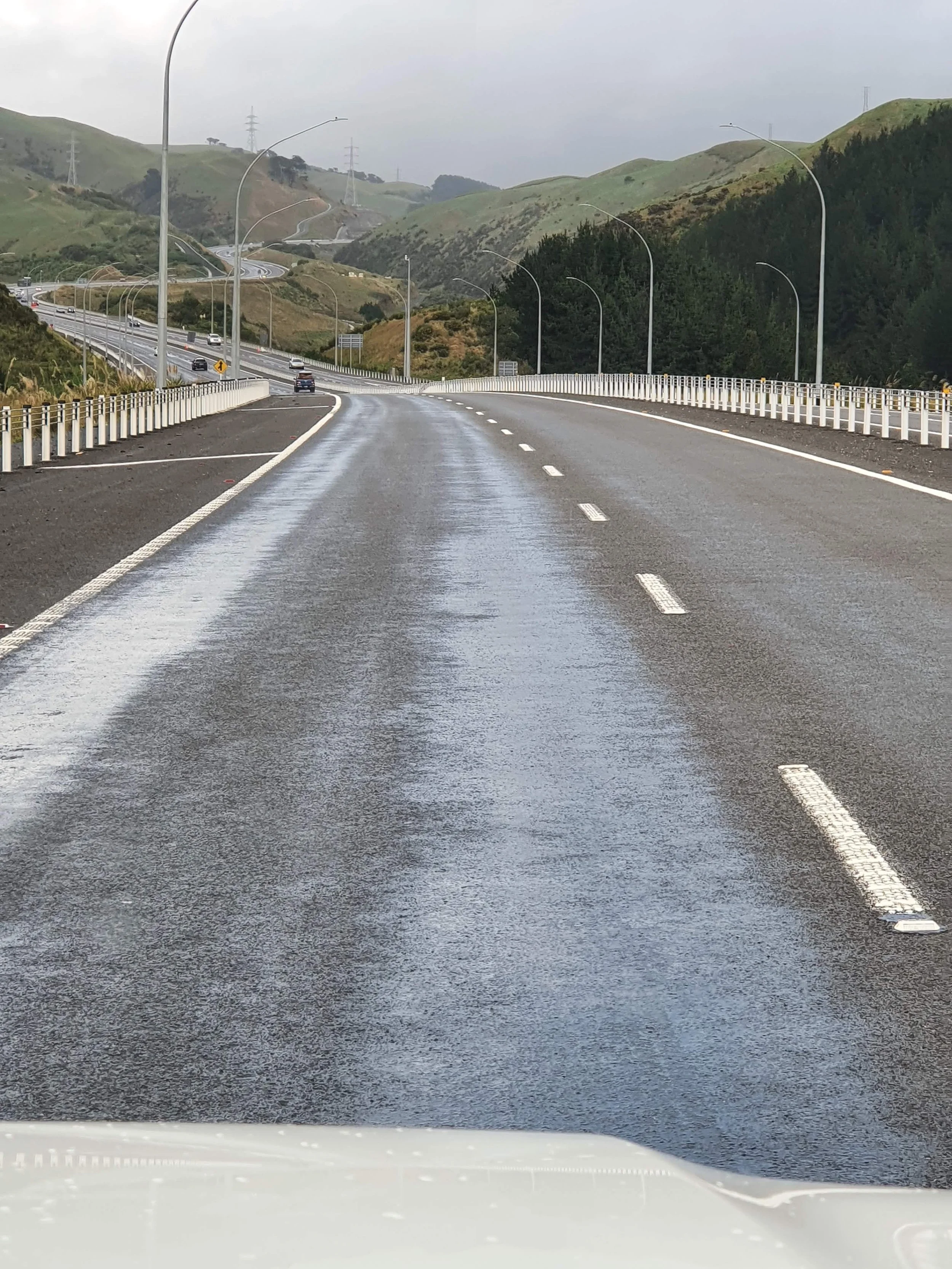 Before_Flushed CS.jpg