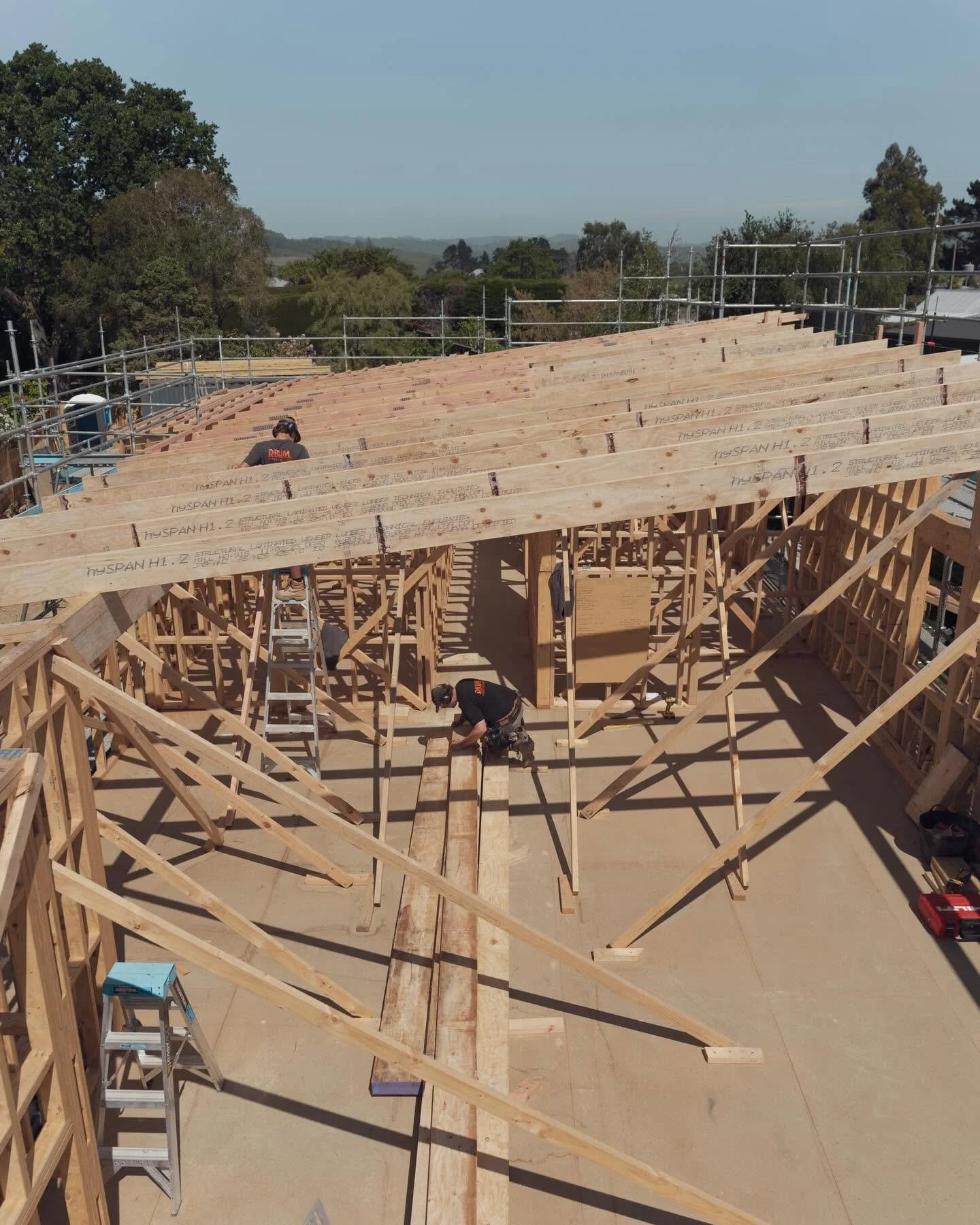 Spargo Karitane - Under Construction 7.jpg