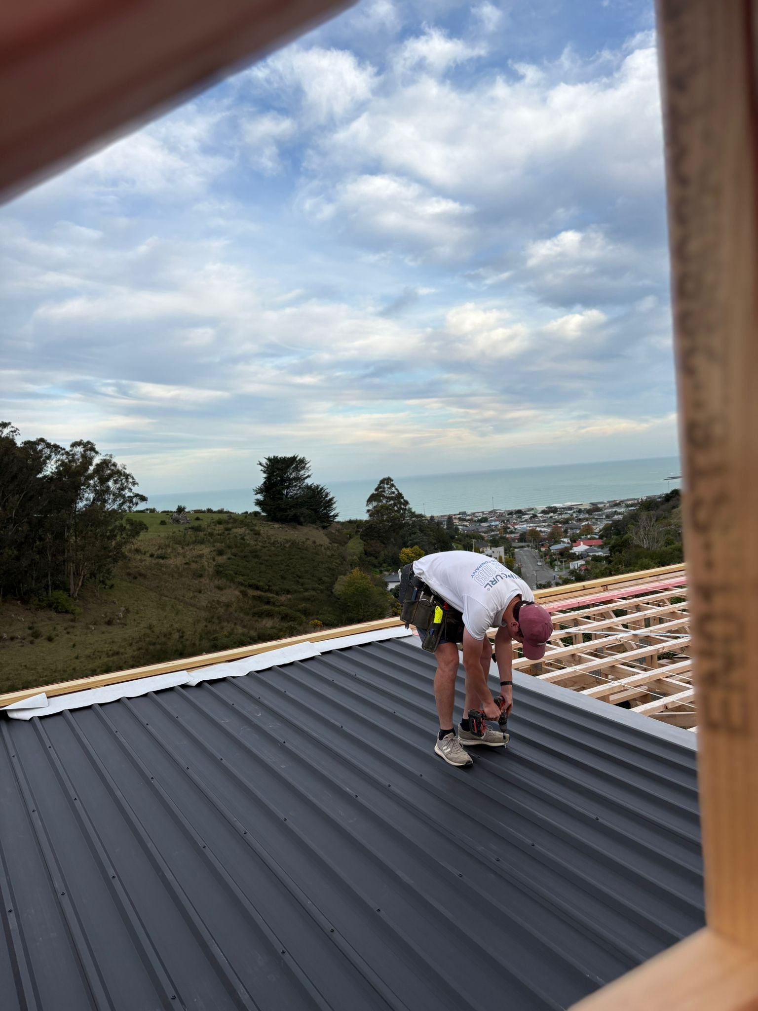 Spargo - Ōamaru WIP 6.jpeg