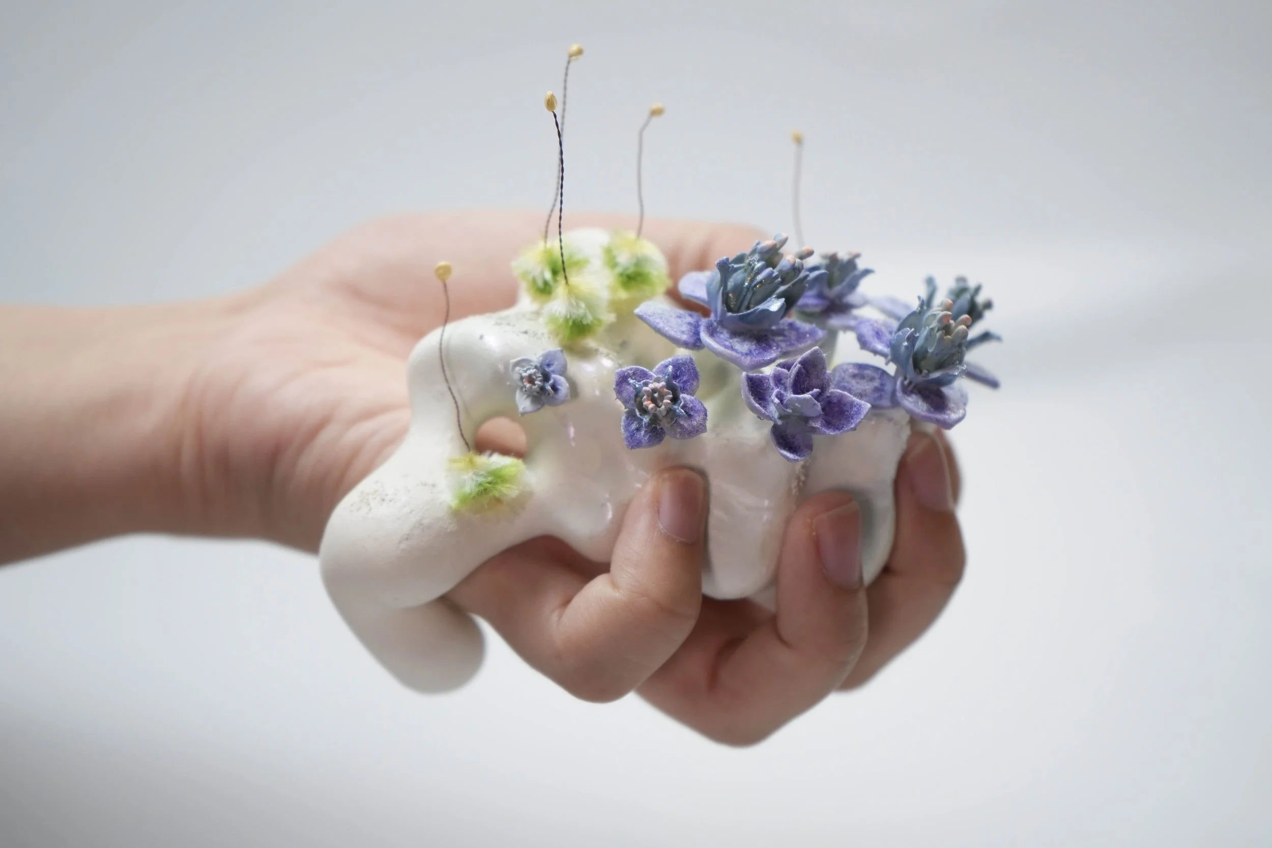 4.Aroma .jpg