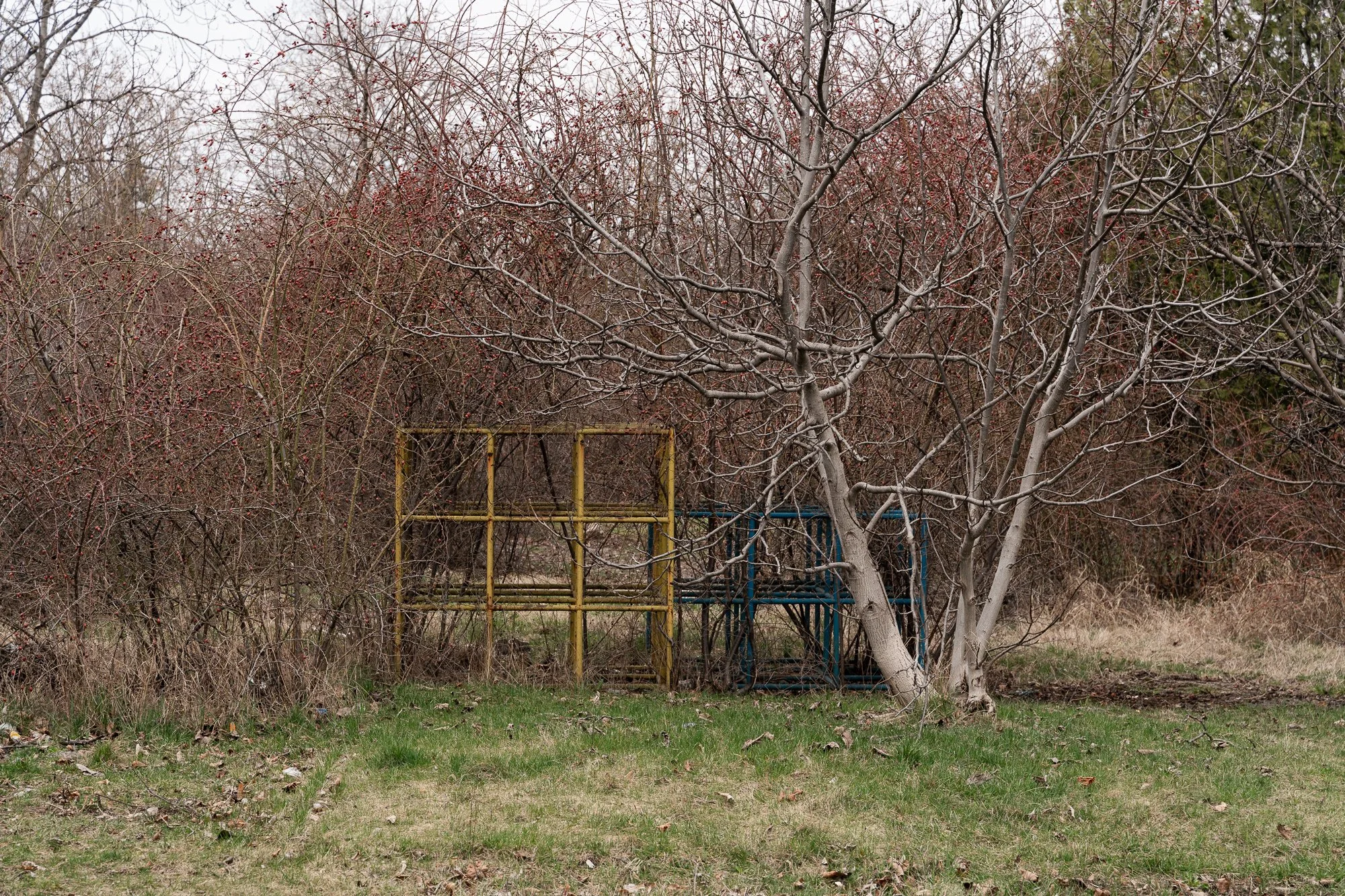 _DSC9602.jpg
