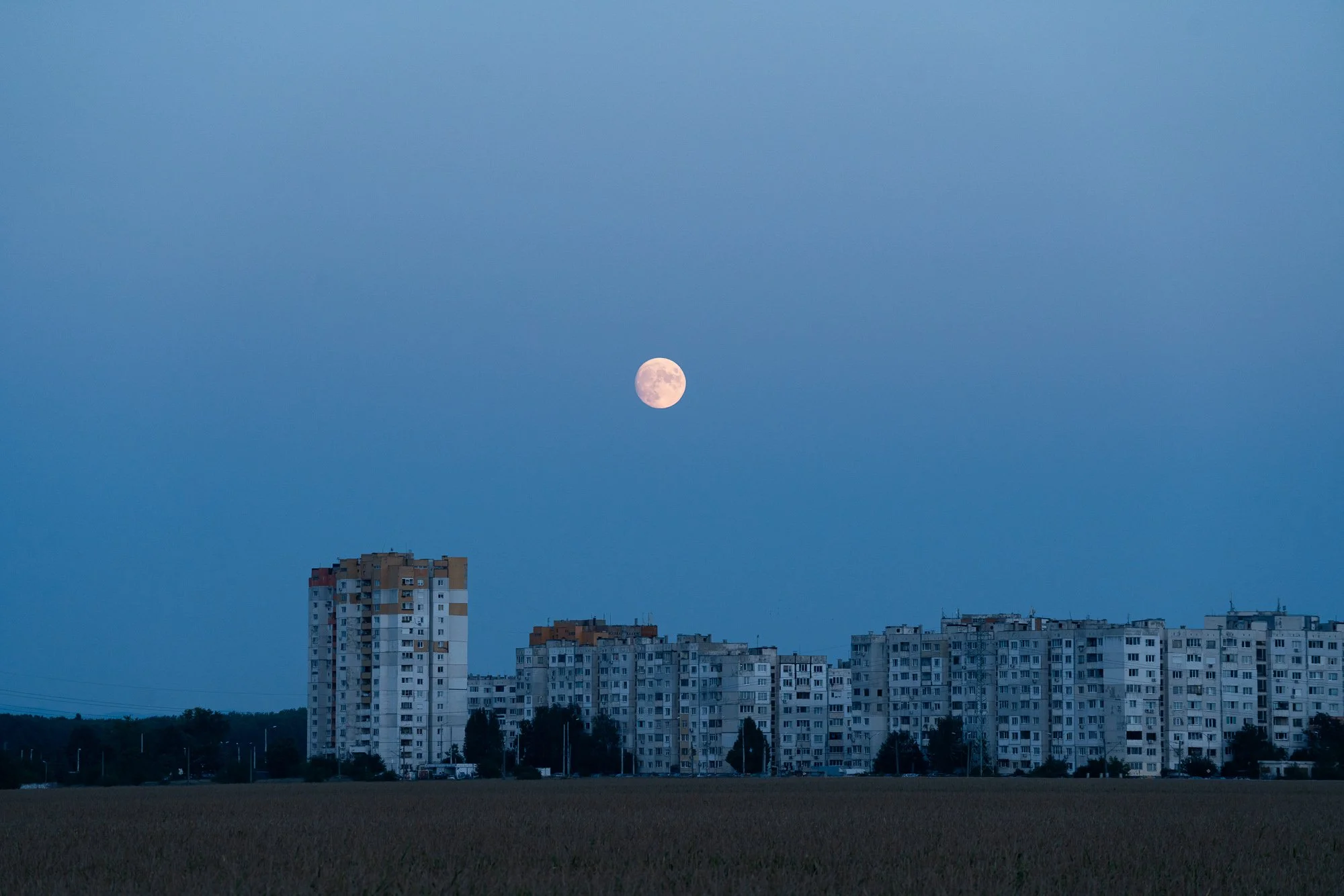_DSC8290.jpg