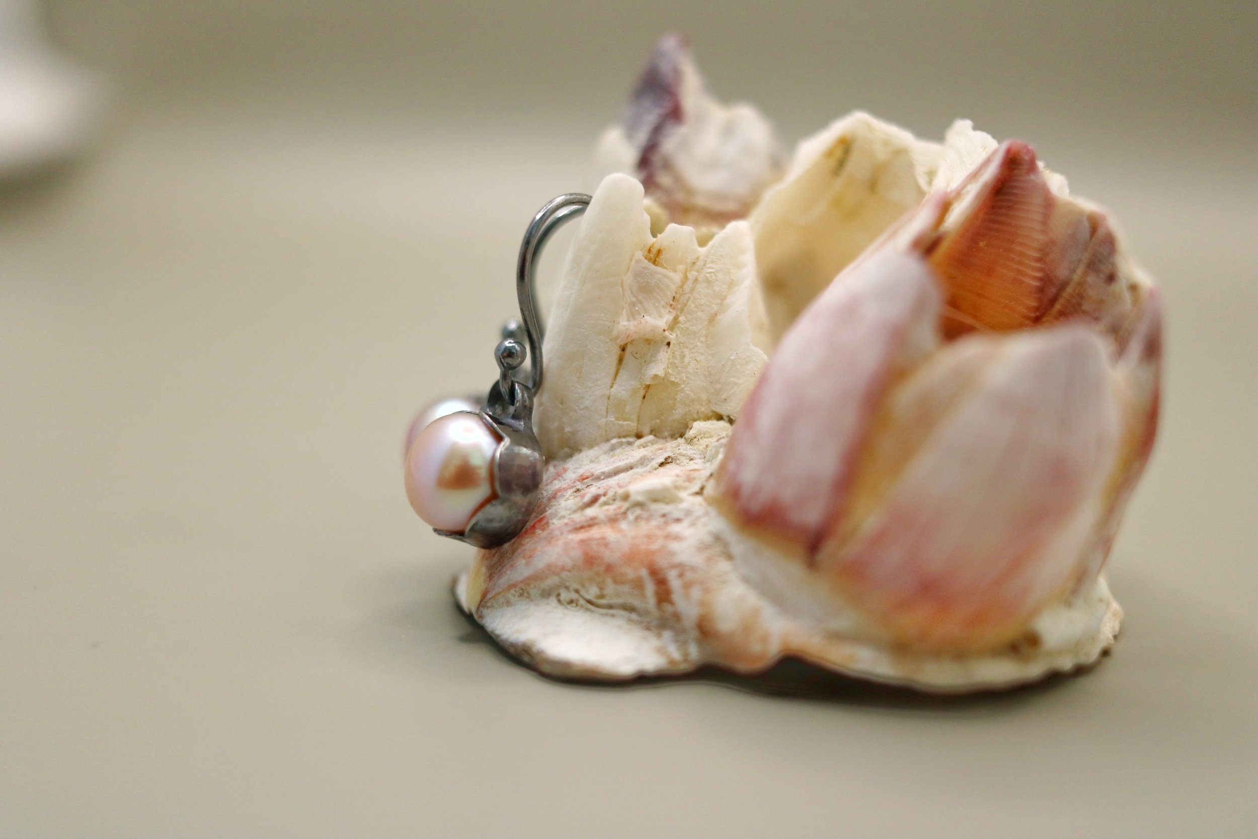 processed_IMG_9070 (1).JPG