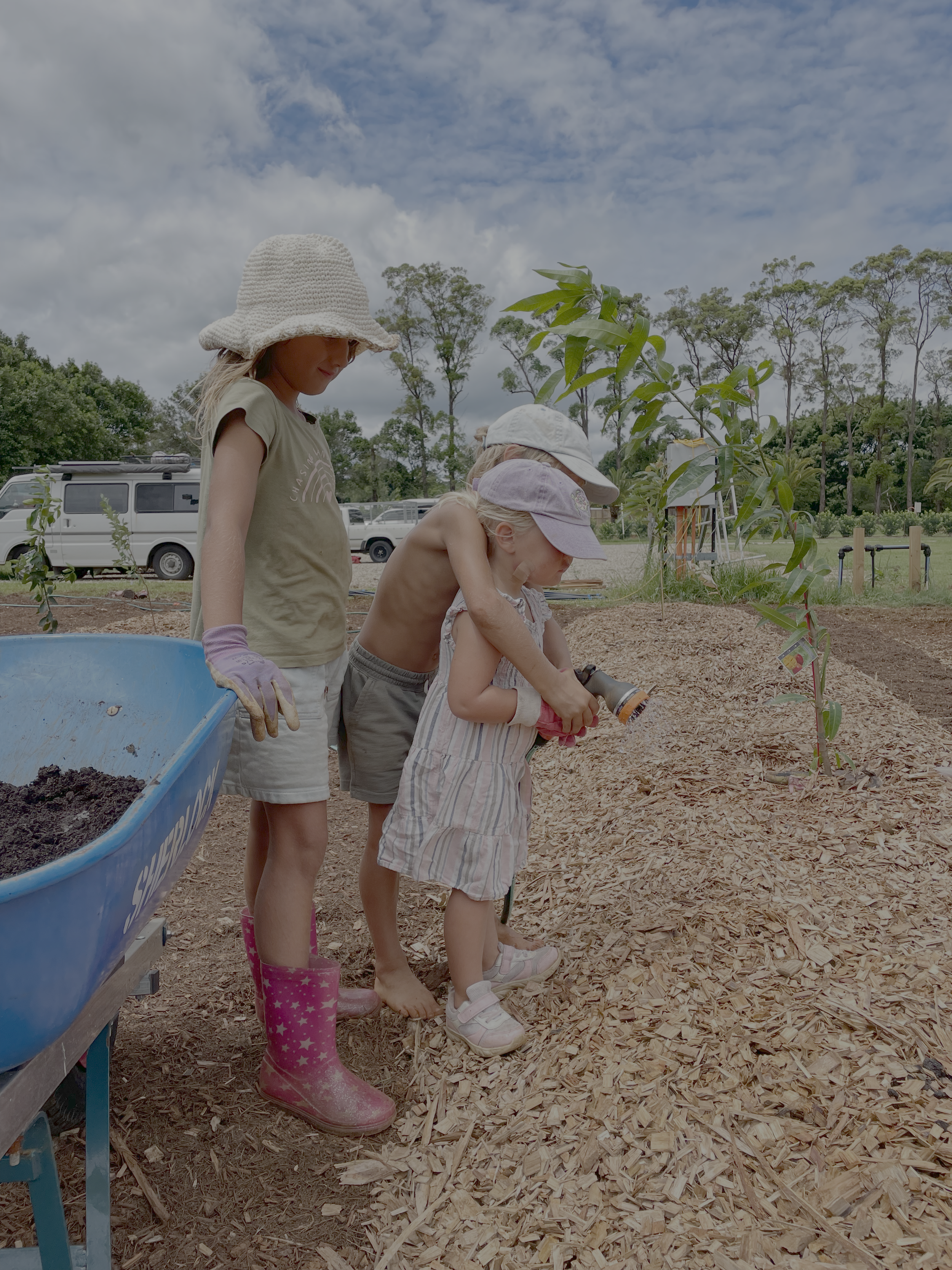 Children and a woman planting a tree outdoors during the daytime, with a row of trees and vehicles in the background.