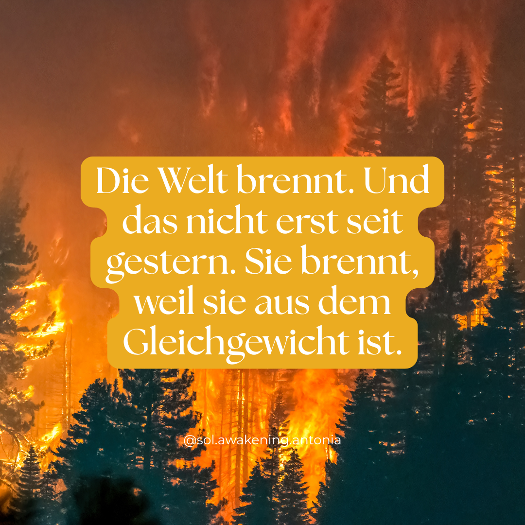 Warum die aktuellen Brände ein Spiegel für uns alle sein können.