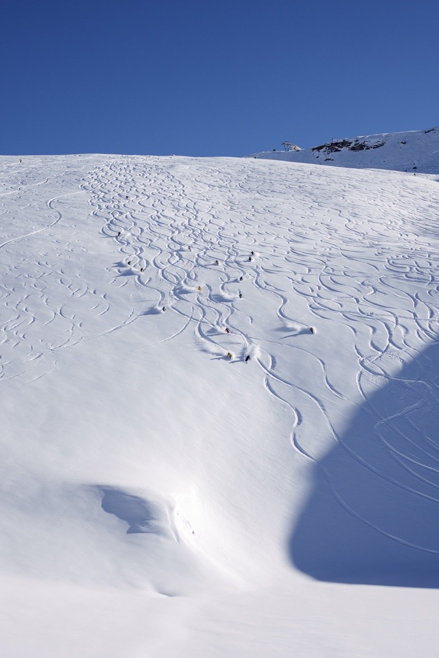 Groß (DSC09884).jpeg