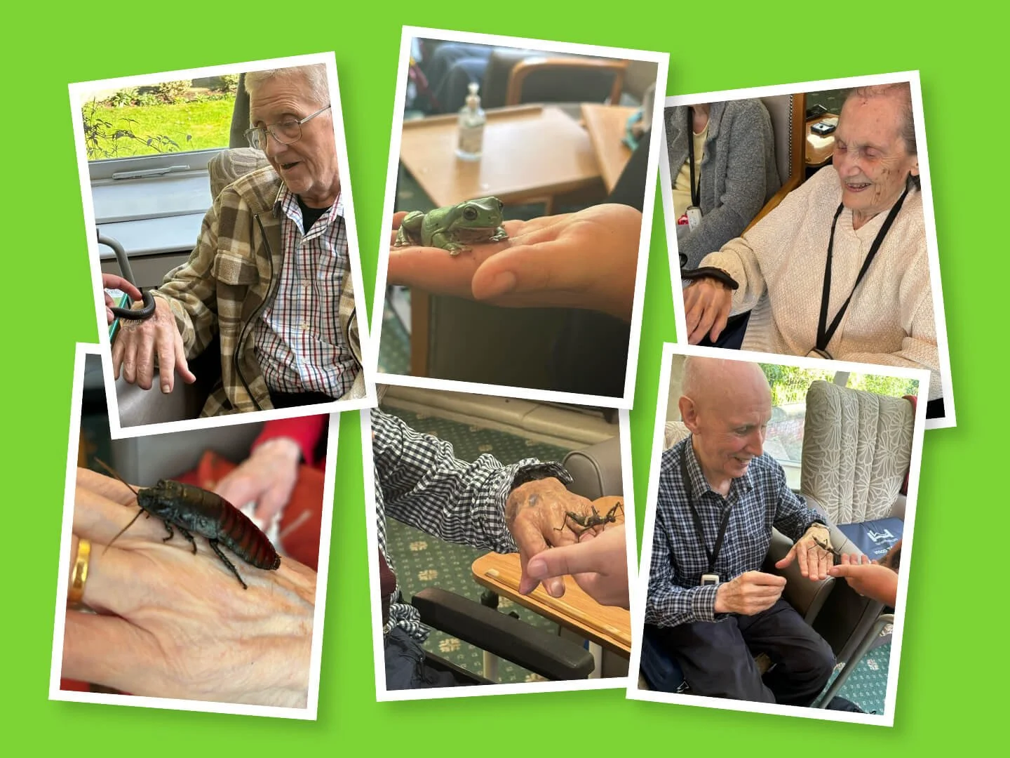 ZooLab Visit to Our Care Home: Bringing Nature to Life for Our Residents