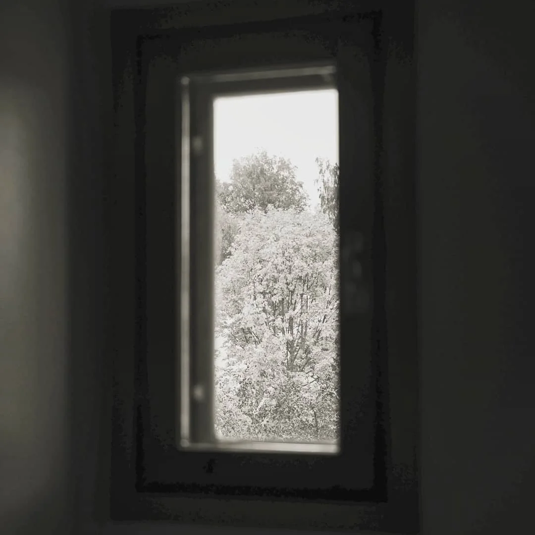 A room with a view

#photography #blackandwhite #window #trees #bathroom