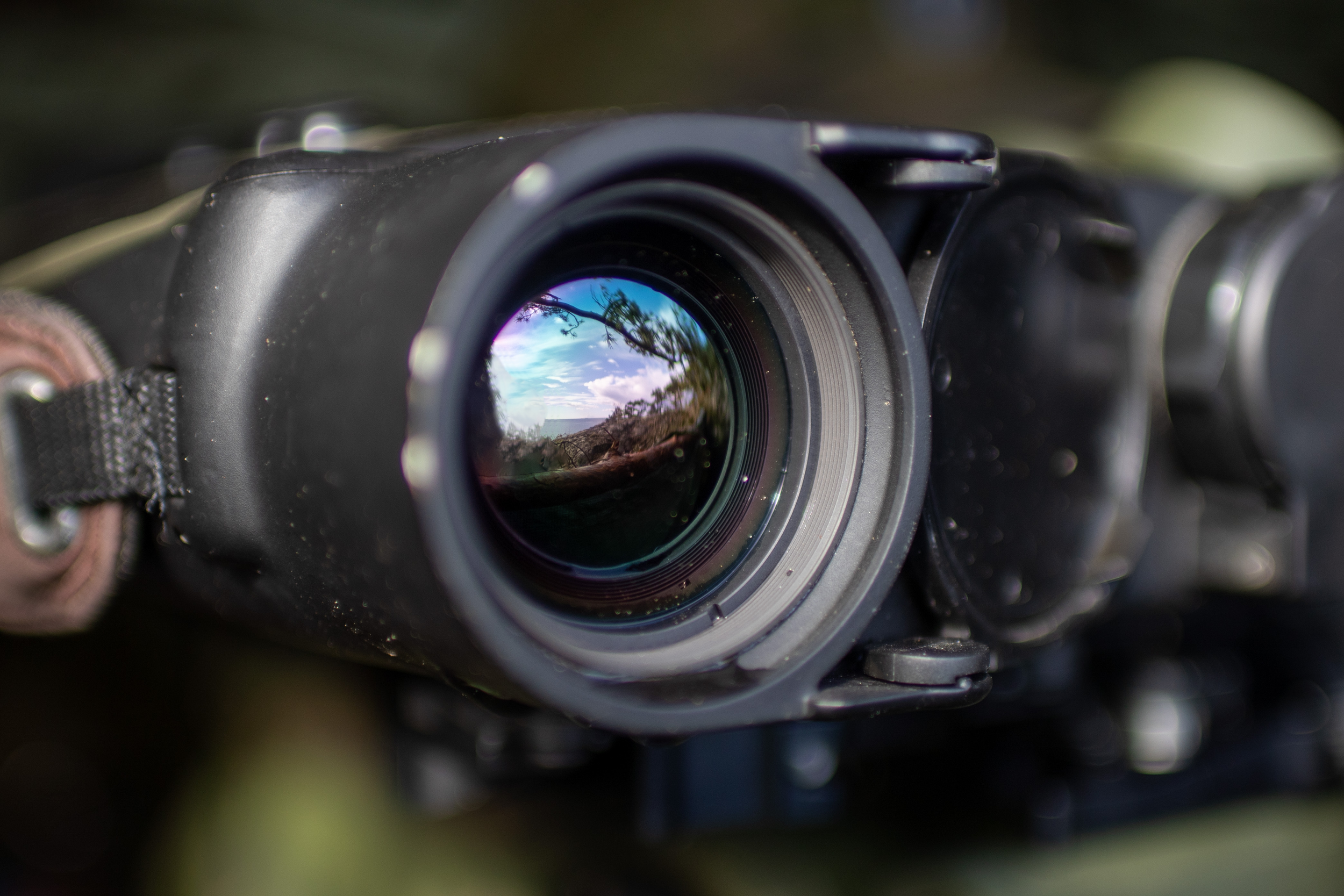 Close-up of a camera lens reflecting trees and sky.
