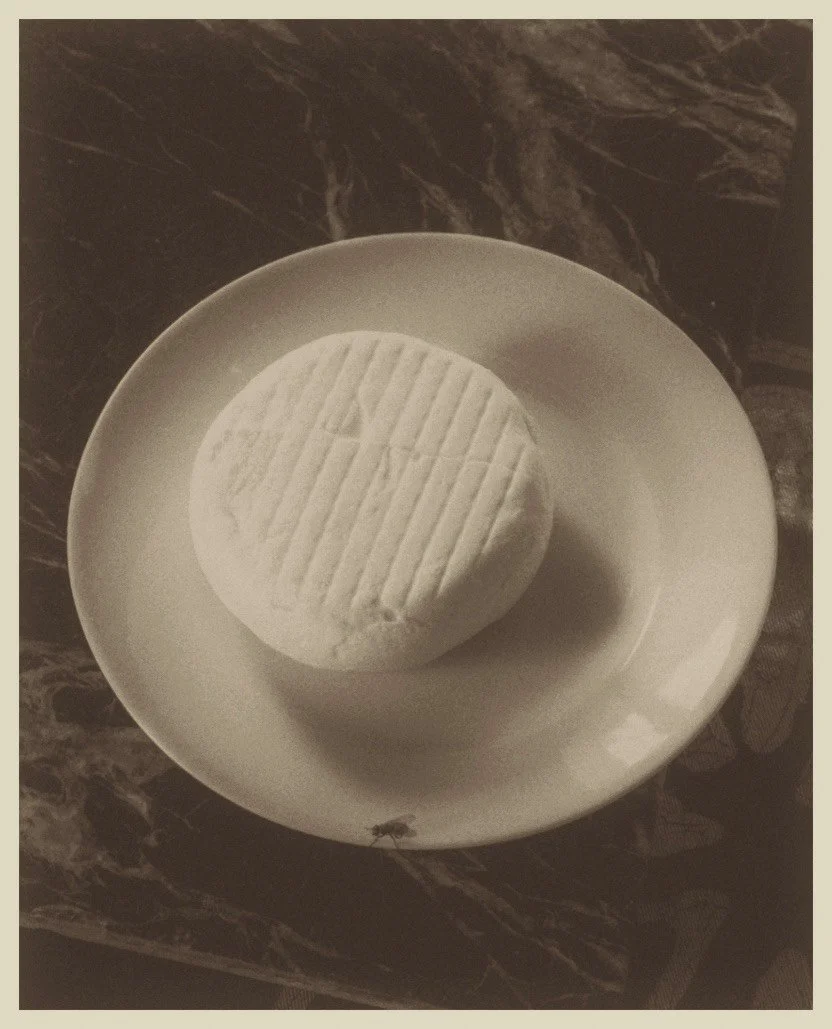 POCKET_223.jpg
