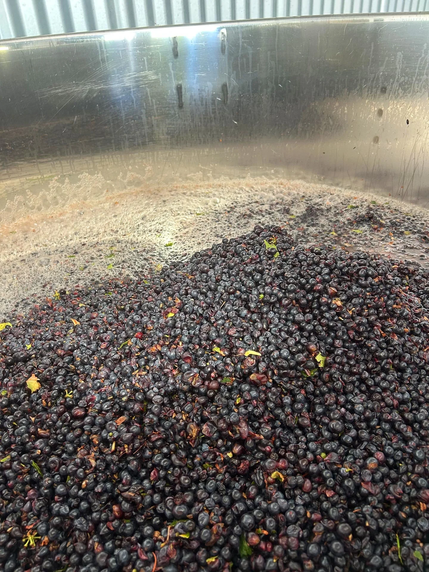Ferment-3.jpg