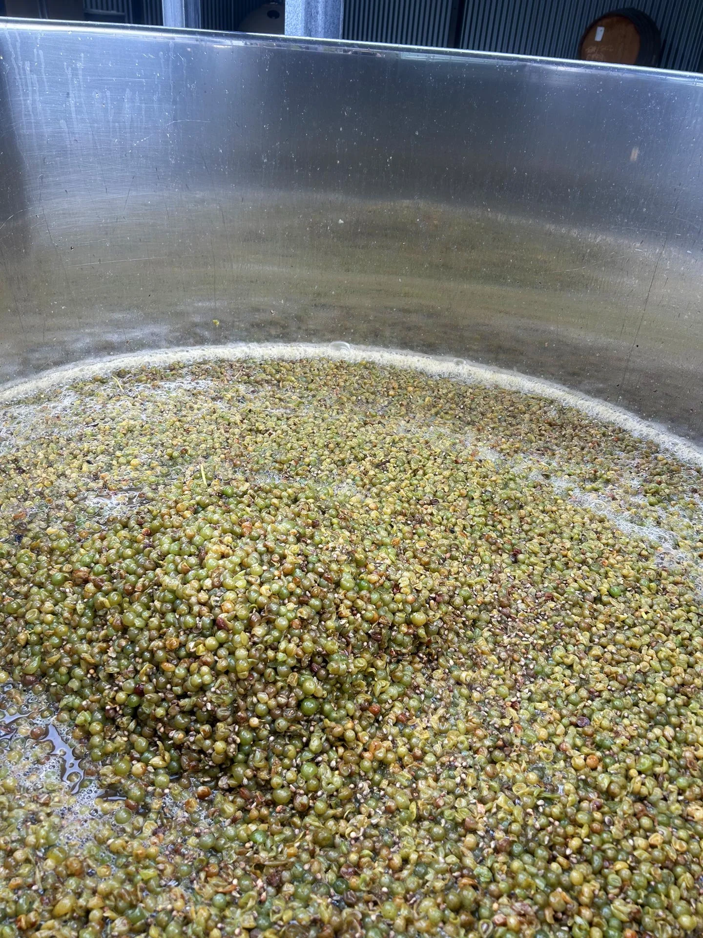 Ferment-4.jpg
