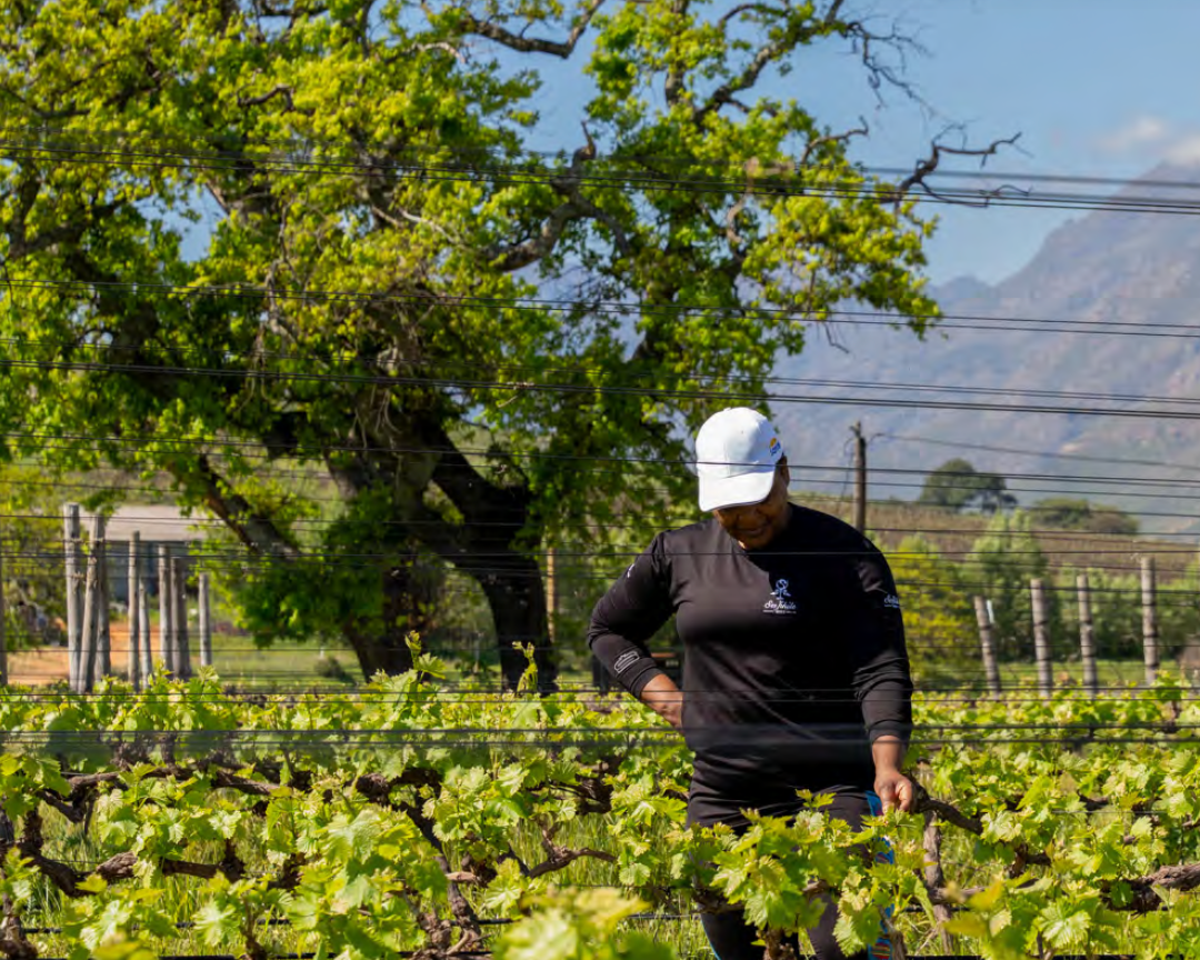 Photographic Feature: Women Creating Wealth in Agricultural Value Chains