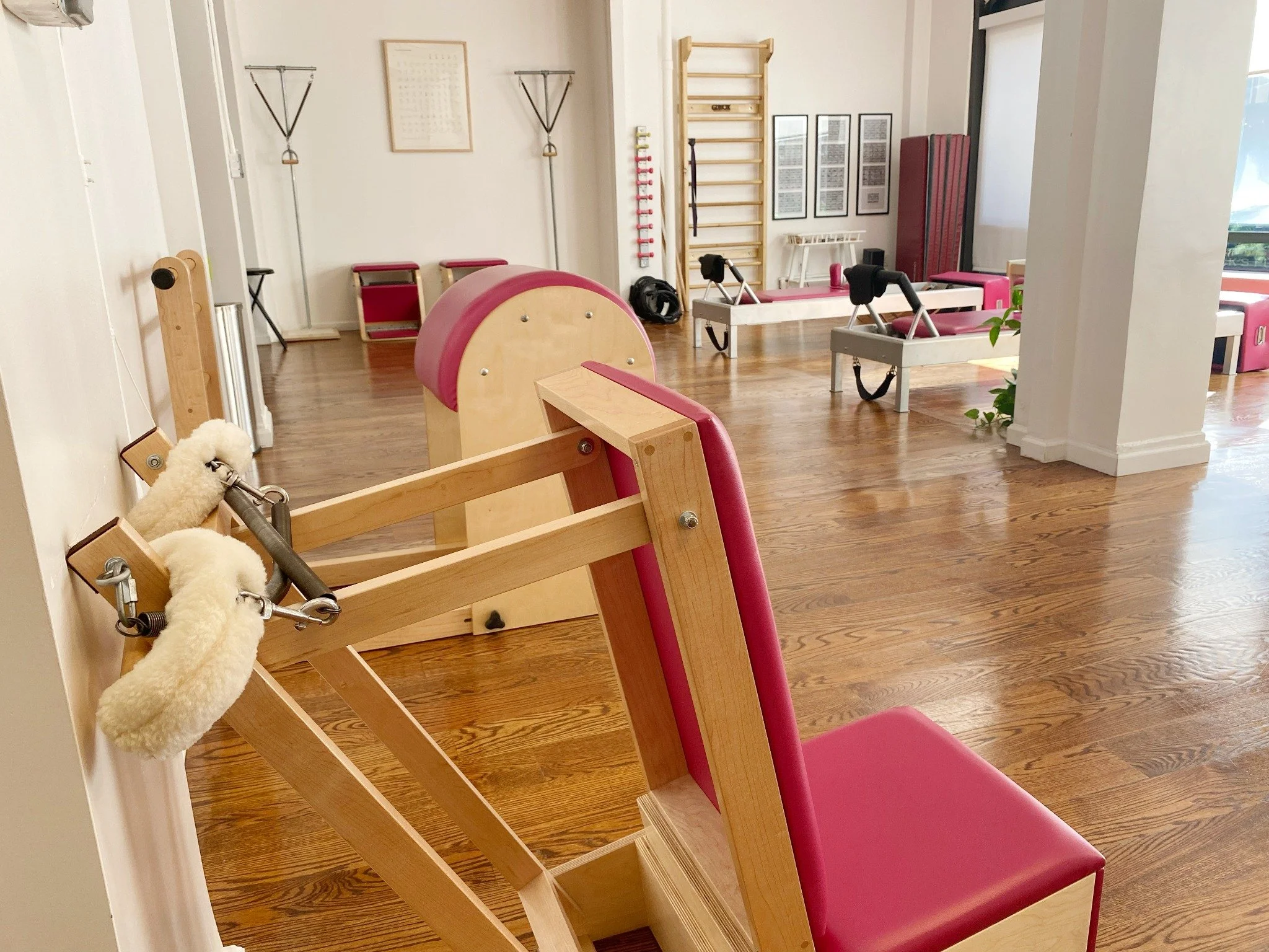 Pilates apparatus at LifeSpan Pilates studio