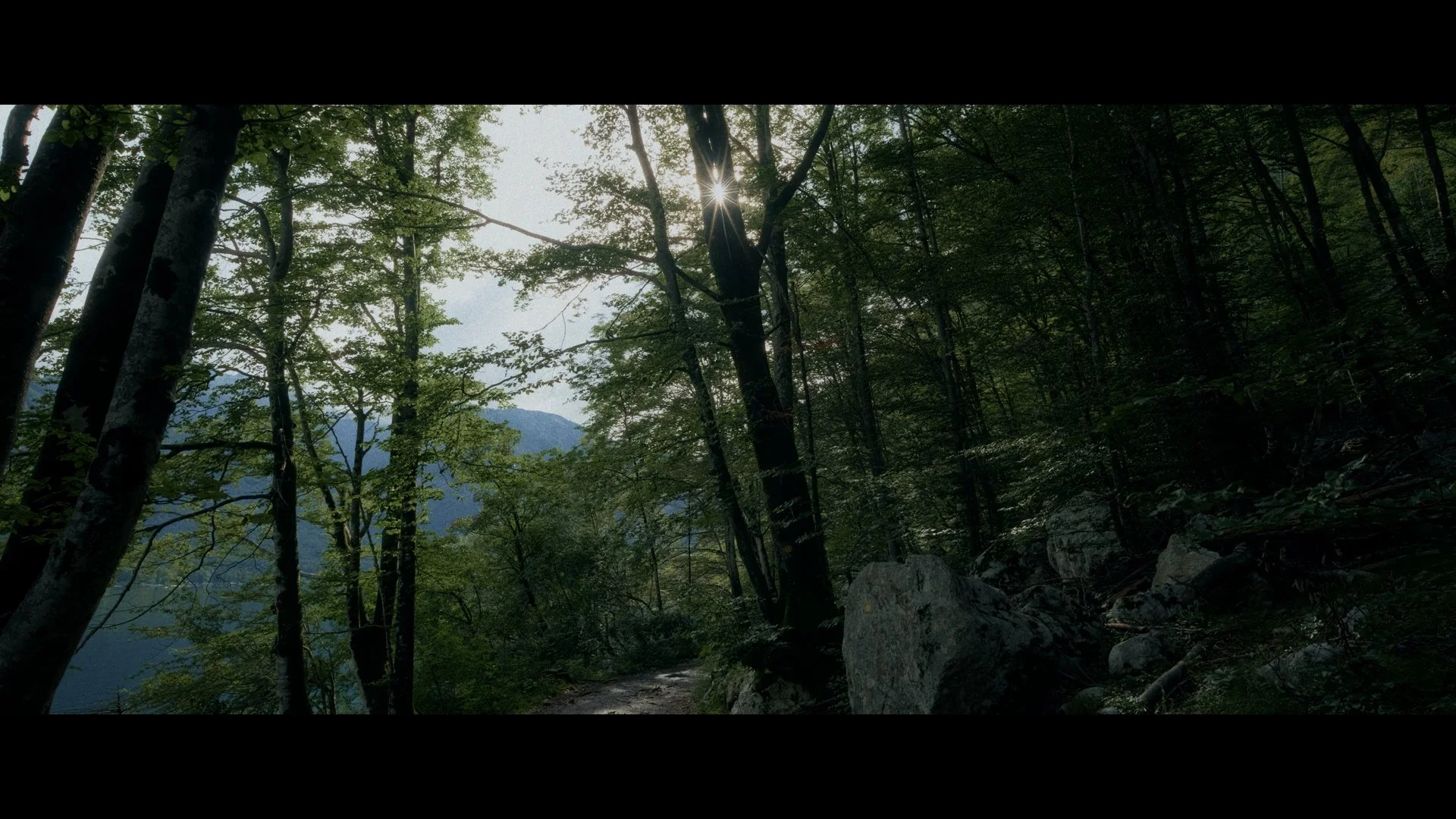 Slovenia Through My Eyes — Friendship, Adventure, and Reflection