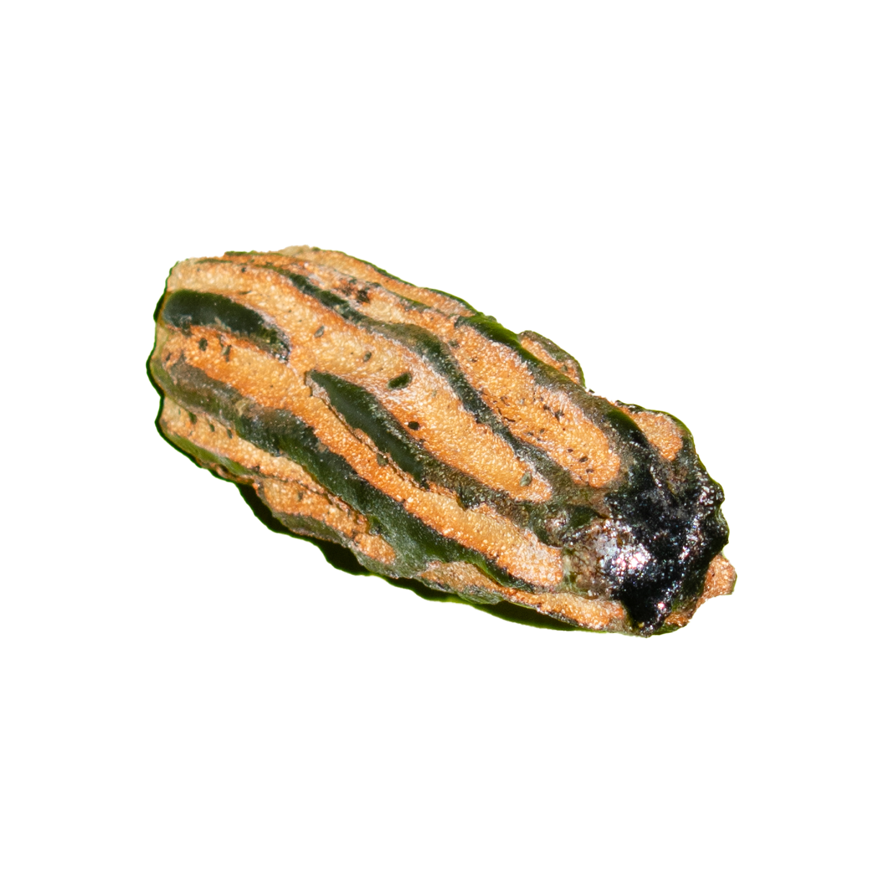 GOURD PIN_1