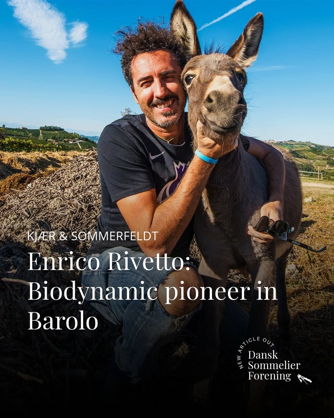 NEW ARTICLE OUT: Enrico Rivetto: Biodynamic pioneer in Barolo

What significance do donkeys, bees, and buried cow horns have as an important part of winemaking? The biodynamically certified winery @rivetto_wines, located in the heart of Piedmont, pro