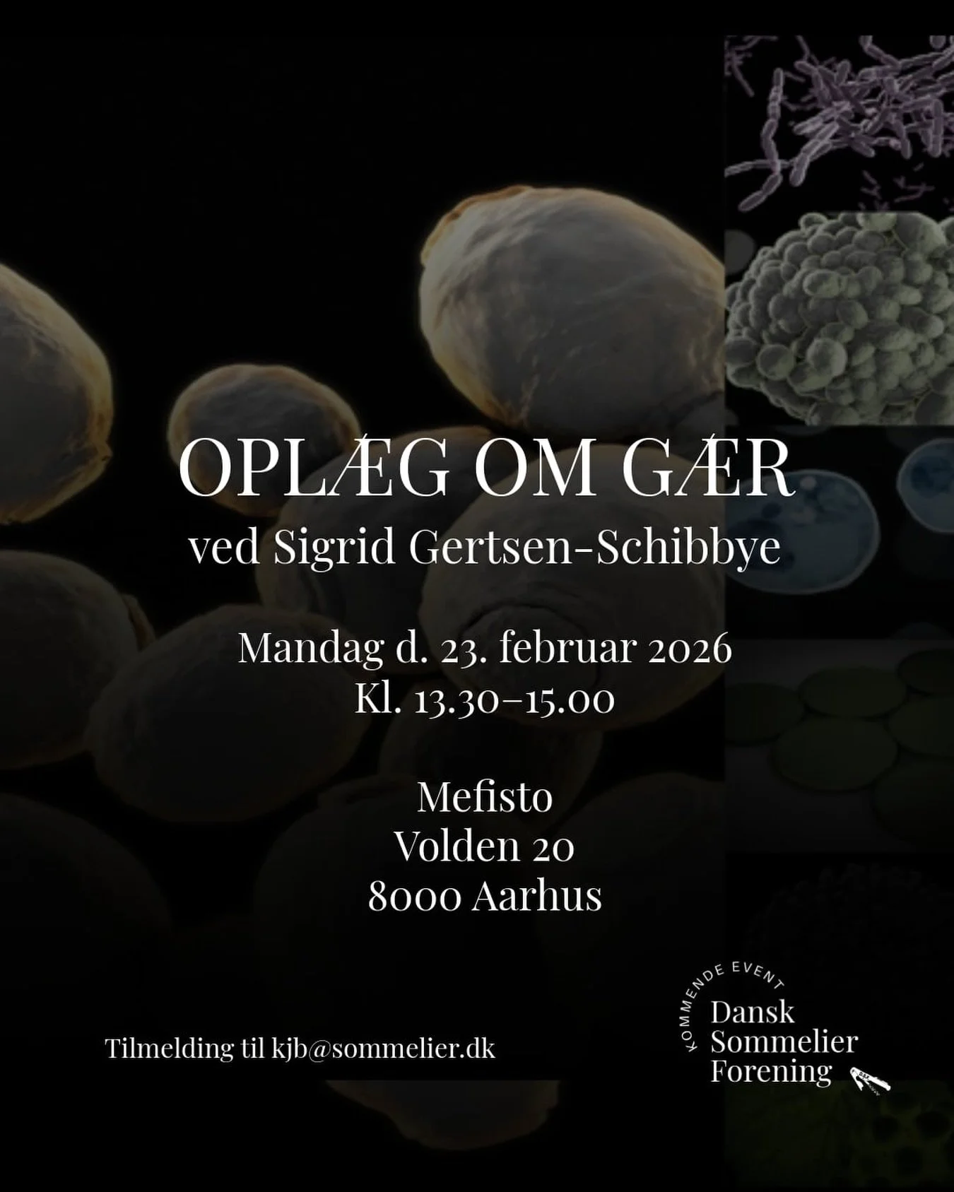 SAVE THE DATE!

Opl&aelig;g om g&aelig;r med Sigrid Gertsen-Schibbye

Mandag d. 23. februar 2026 Kl. 13.30&ndash;15.00

Mefisto, Volden 20, Aarhus 

Tilmelding: kjb@sommelier.dk

The event is reserved for DSF members and sponsors, with the option for