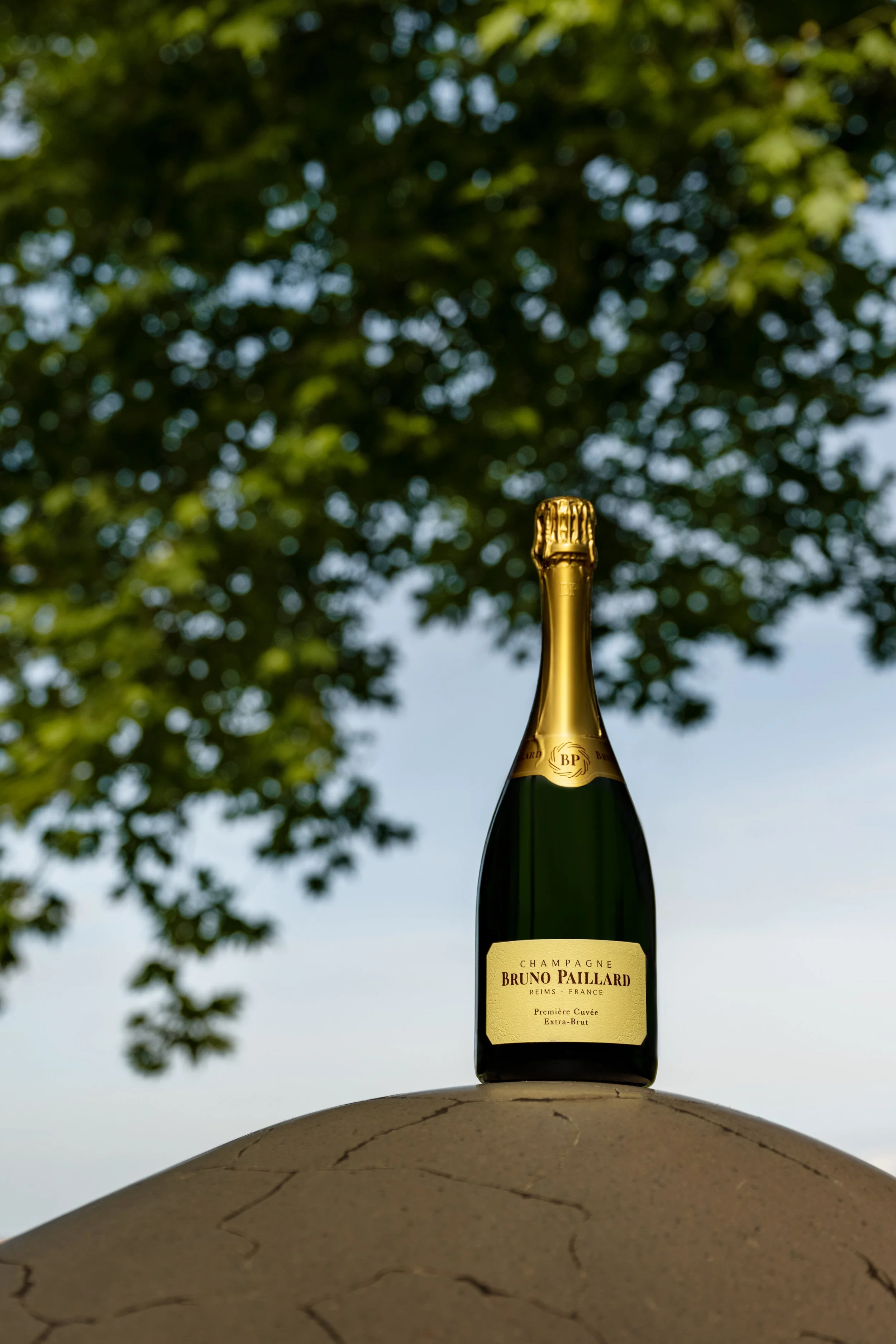 BRUNO PAILLARD_SUMMER_DSC_6354_FIN_OR.jpg