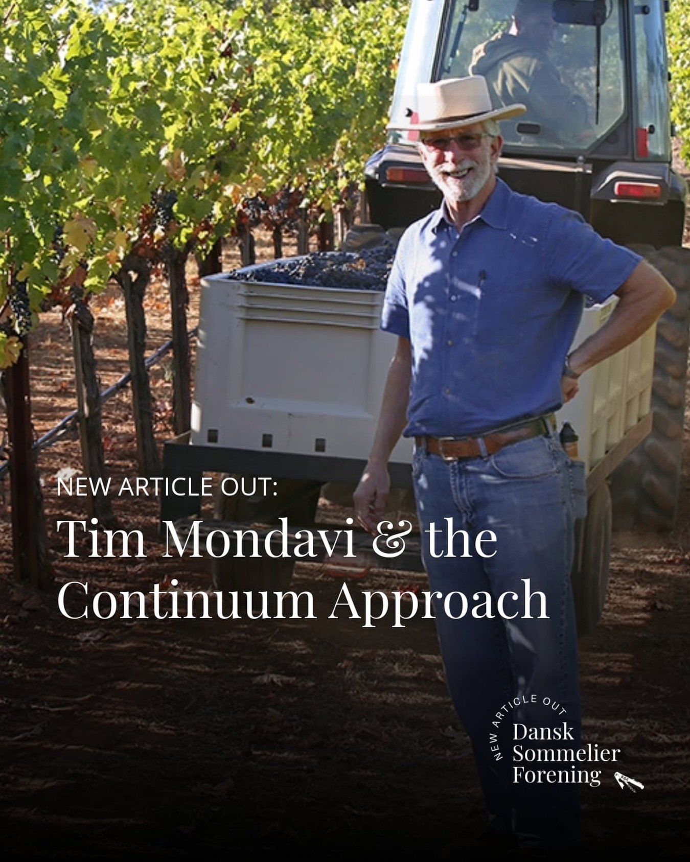 NEW ARTICLE OUT: Tim Mondavi &amp; the Continuum Approach

I met Tim Mondavi at Hotel d&rsquo;Angleterre in Copenhagen. Continuum was the focus of our meeting, but Tim&rsquo;s story spans decades of work and many different projects. Much of his backg