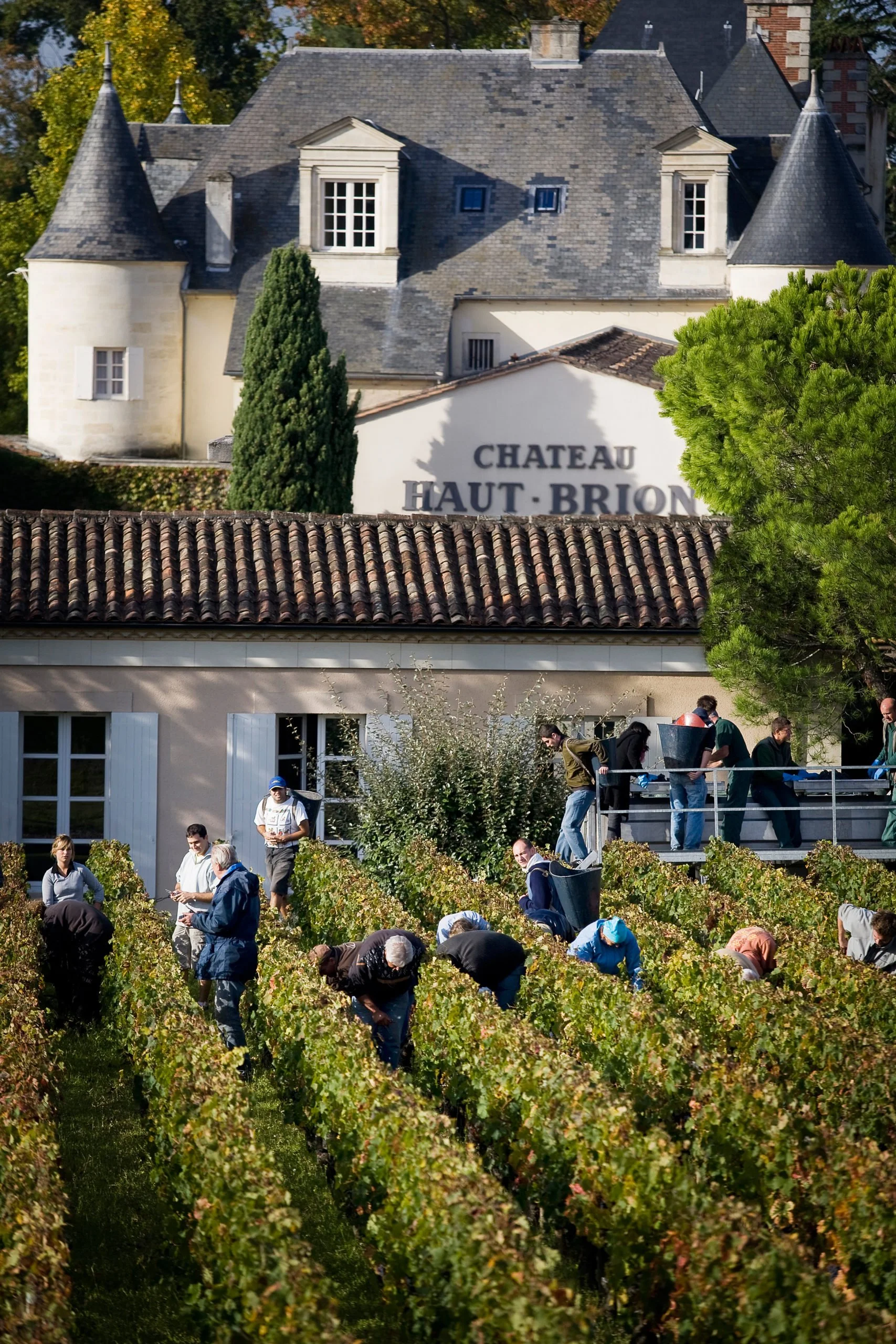 Meeting with Château Haut-Brion &amp; Clarence Dillon Wines