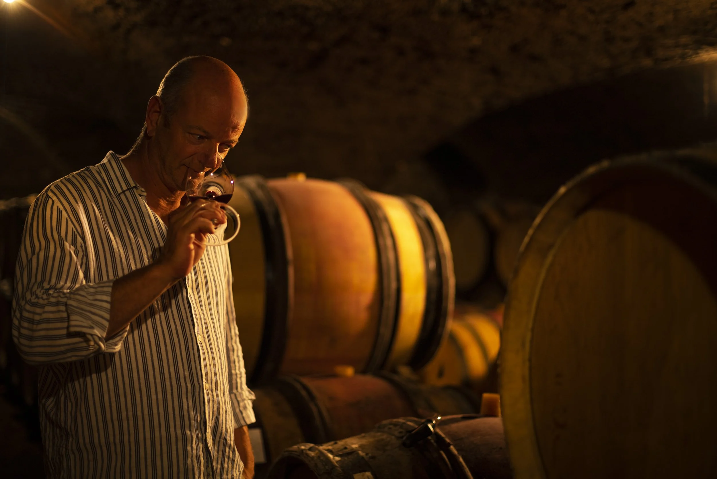Domaine Chandon de Briailles: Decisions Behind the Wines