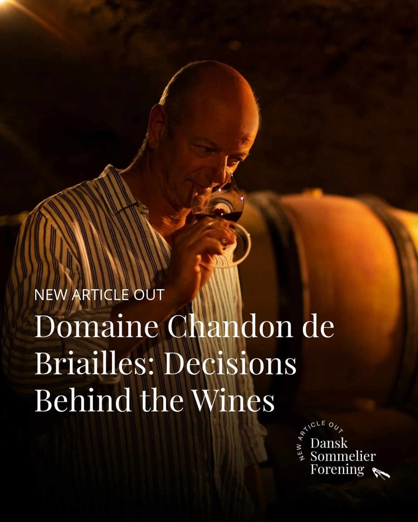 NEW ARTICLE OUT! @chandon.de.briailles : Decisions Behind the Wines

At Domaine Chandon de Briailles, the focus is not on trends, but on long-term observation and trust in the vineyard.

In this conversation with Francois de Nicolay, biodynamics is d