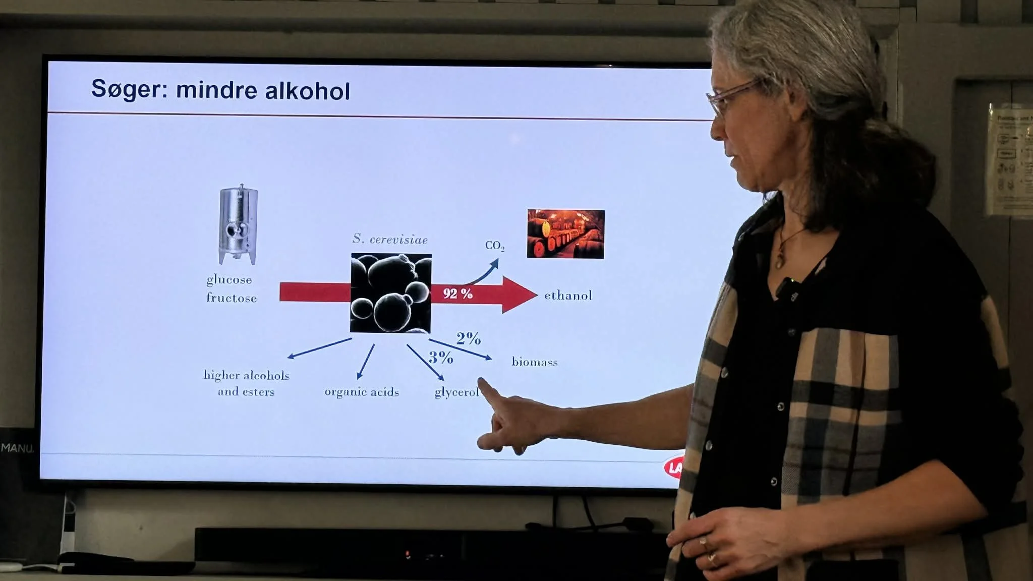 Yeast, bacteria, and the hidden craft of wine