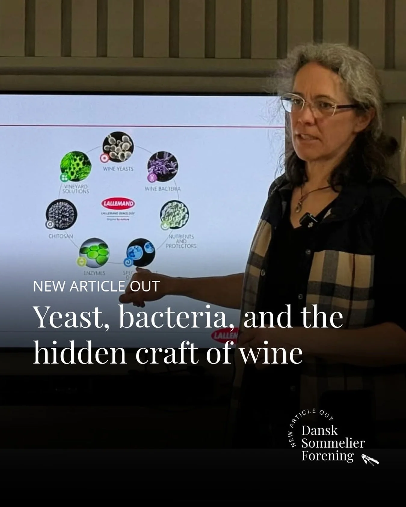 NEW ARTICLE OUT: Yeast, Bacteria and the Hidden Craft of Wine

At a recent DSF event at Mefisto, we went deeper into one of the most overlooked elements in winemaking: microbiology. Together with microbiologist Sigrid Gertsen-Schibbye from Lallemand,