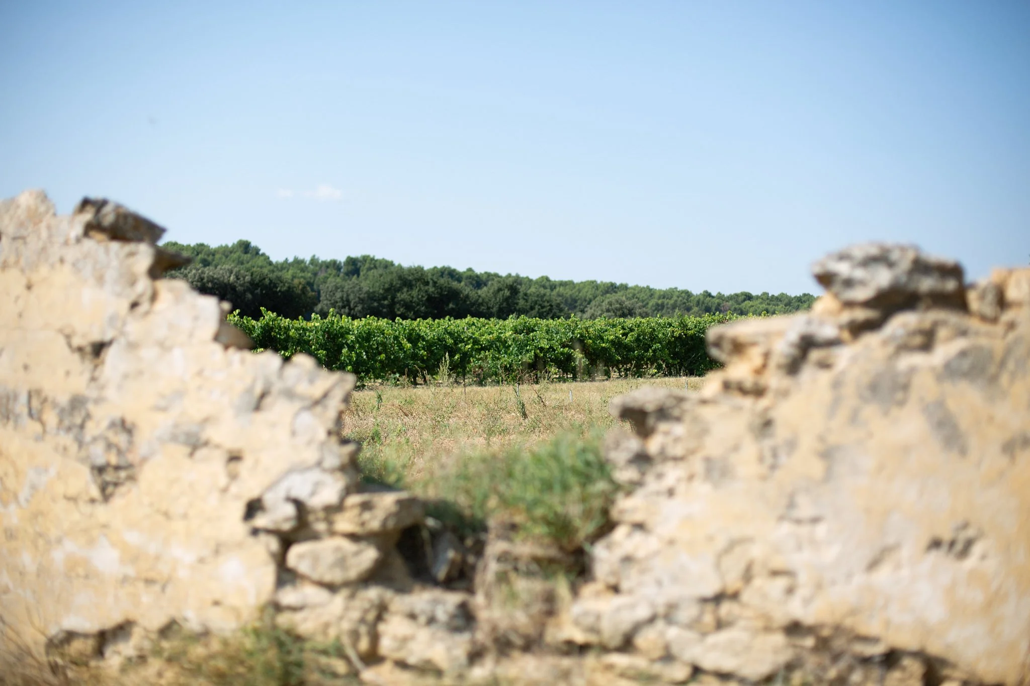 WEB-CLOS-DU-CAILLOU-107.jpg