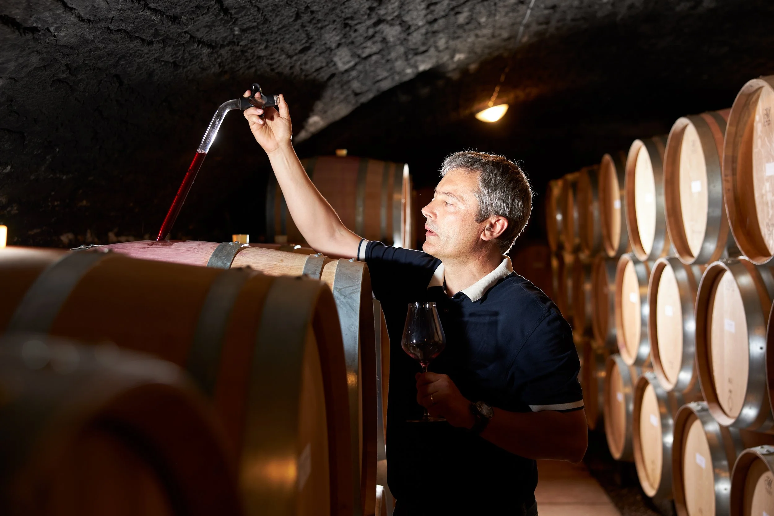 The Longest Investment: Romain Taupenot on Control, Nature, and Ten Generations of Burgundy