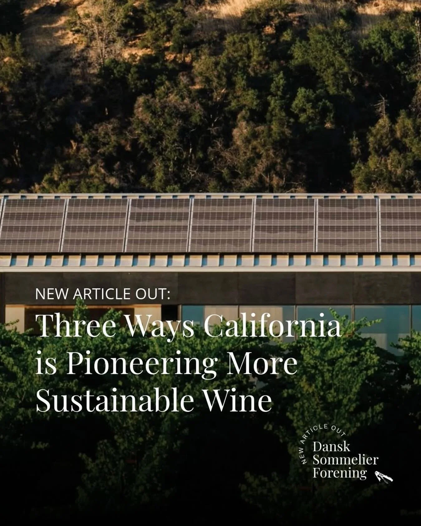 NEW ARTICLE OUT: Three Ways California is Pioneering More Sustainable Wine

California is a global leader for sustainability in wine, with 90% of its wines made in certified sustainable wineries and 70% of the total vineyard acreage now certified sus