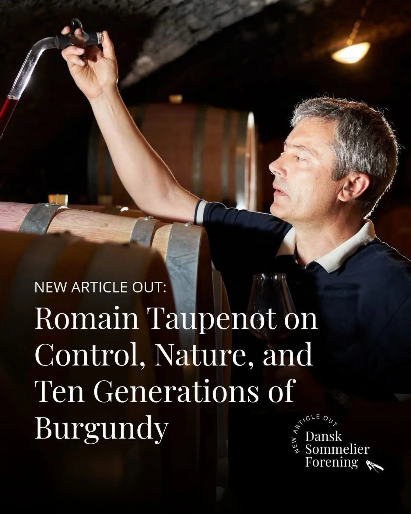 NEW ARTICLE OUT: The Longest Investment: Romain Taupenot on Control, Nature, and Ten Generations of Burgundy

I will admit it upfront: I am a devoted fan of Taupenot-Merme wines. So when I found myself sitting across from Romain Taupenot a grey morni