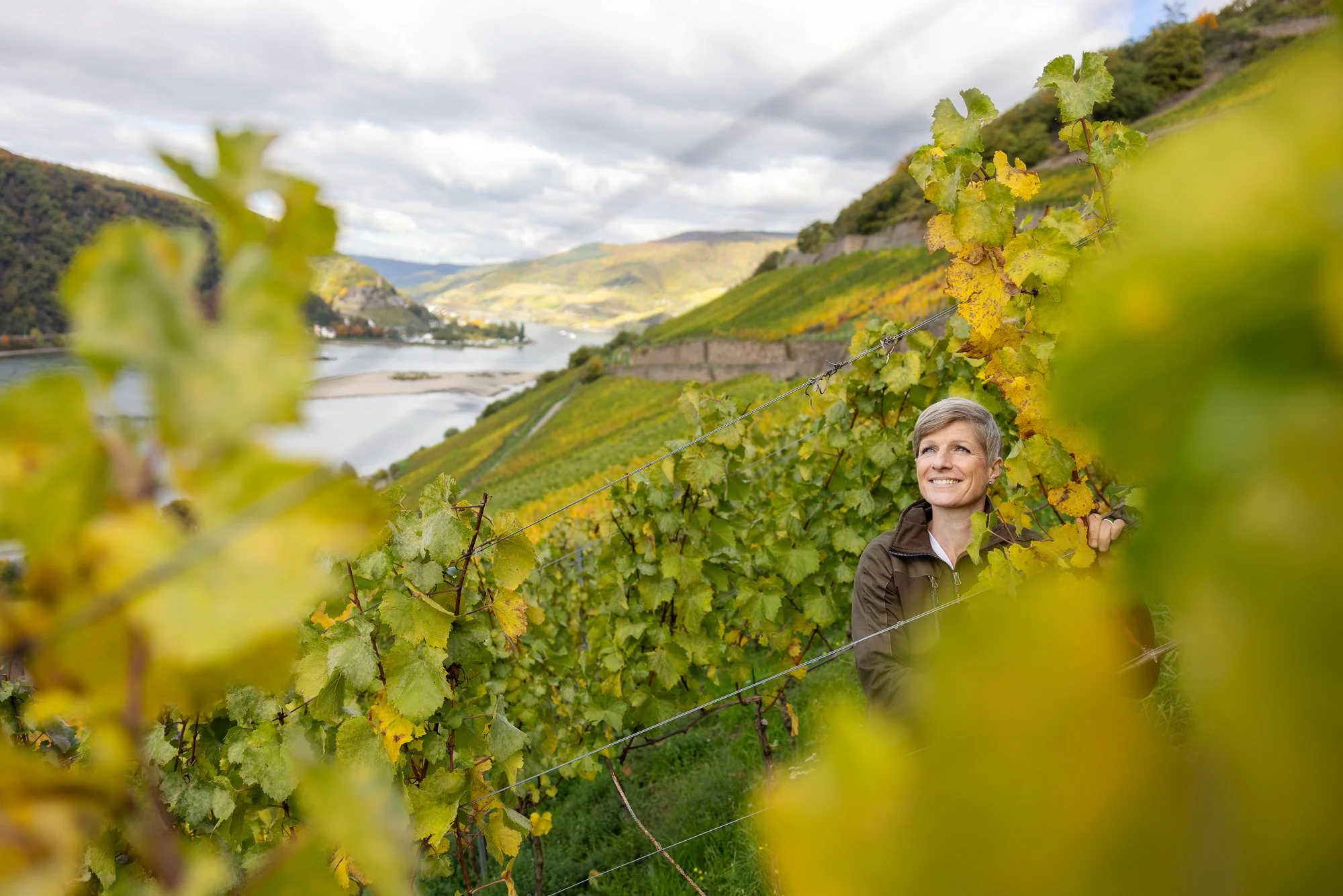 Chardonnay Höllenberg.jpeg