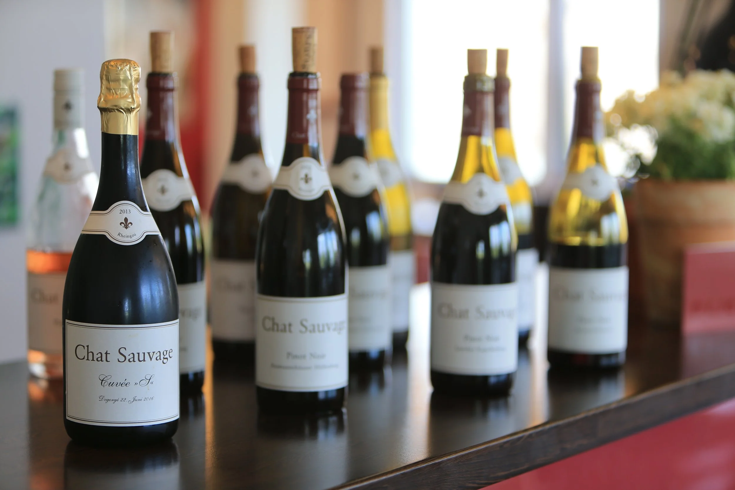 kalbacho-foto-weingut-chat-Sauvage - 008.JPG