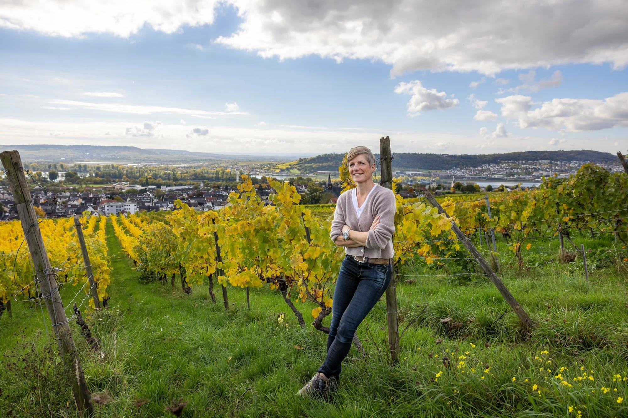 Rüdesheim Weinberg.jpeg