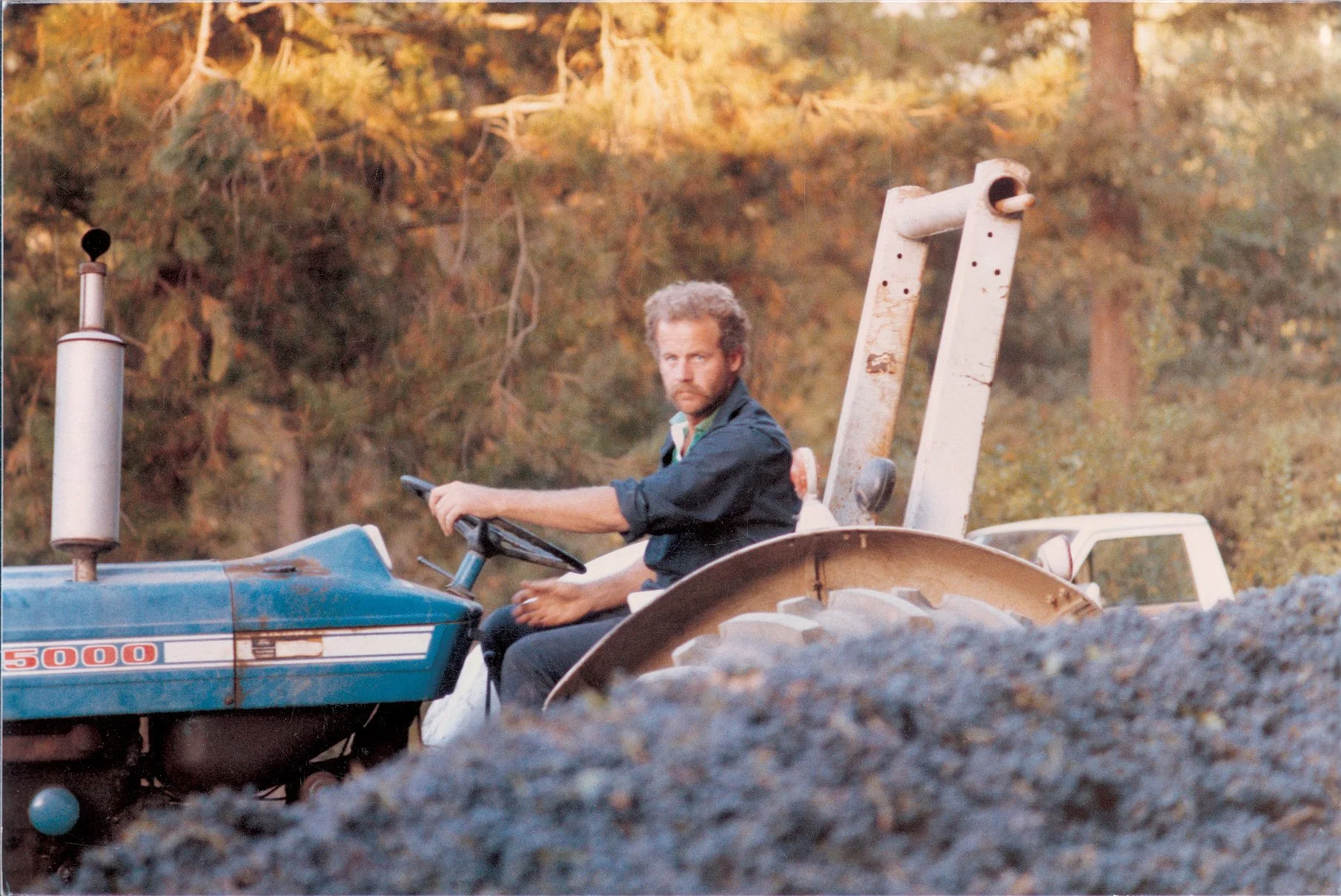Bo Tractor.jpg