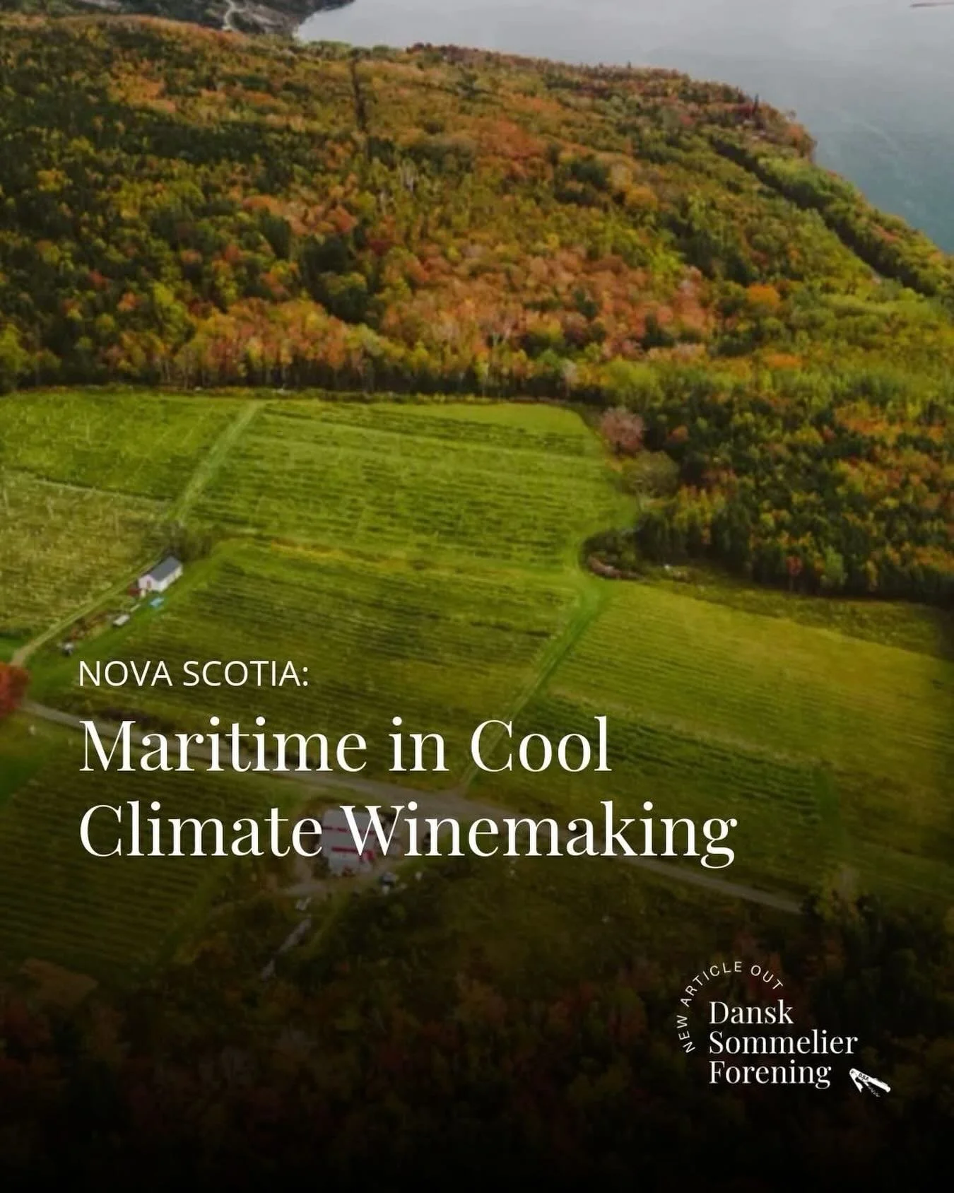 NEW ARTICLE OUT: Nova Scotia: Maritime in Cool Climate Winemaking

I find it interesting when people go against what seems impossible. Nova Scotia, on Canada&rsquo;s Atlantic coast, is one of those places. It lies far north, shaped by the sea and by 