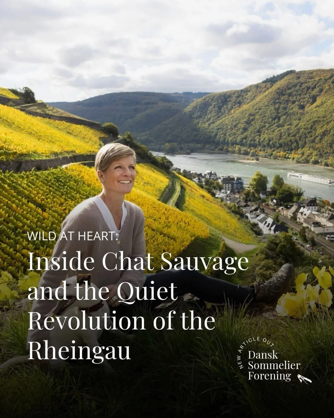 NEW ARTICLE OUT: Wild at Heart: Inside Chat Sauvage and the Quiet Revolution of the Rheingau&nbsp;

The Rheingau is Riesling country. Anyone who has spent time in this stretch of hills along the Rhine knows it &mdash; the steep south-facing slopes, t