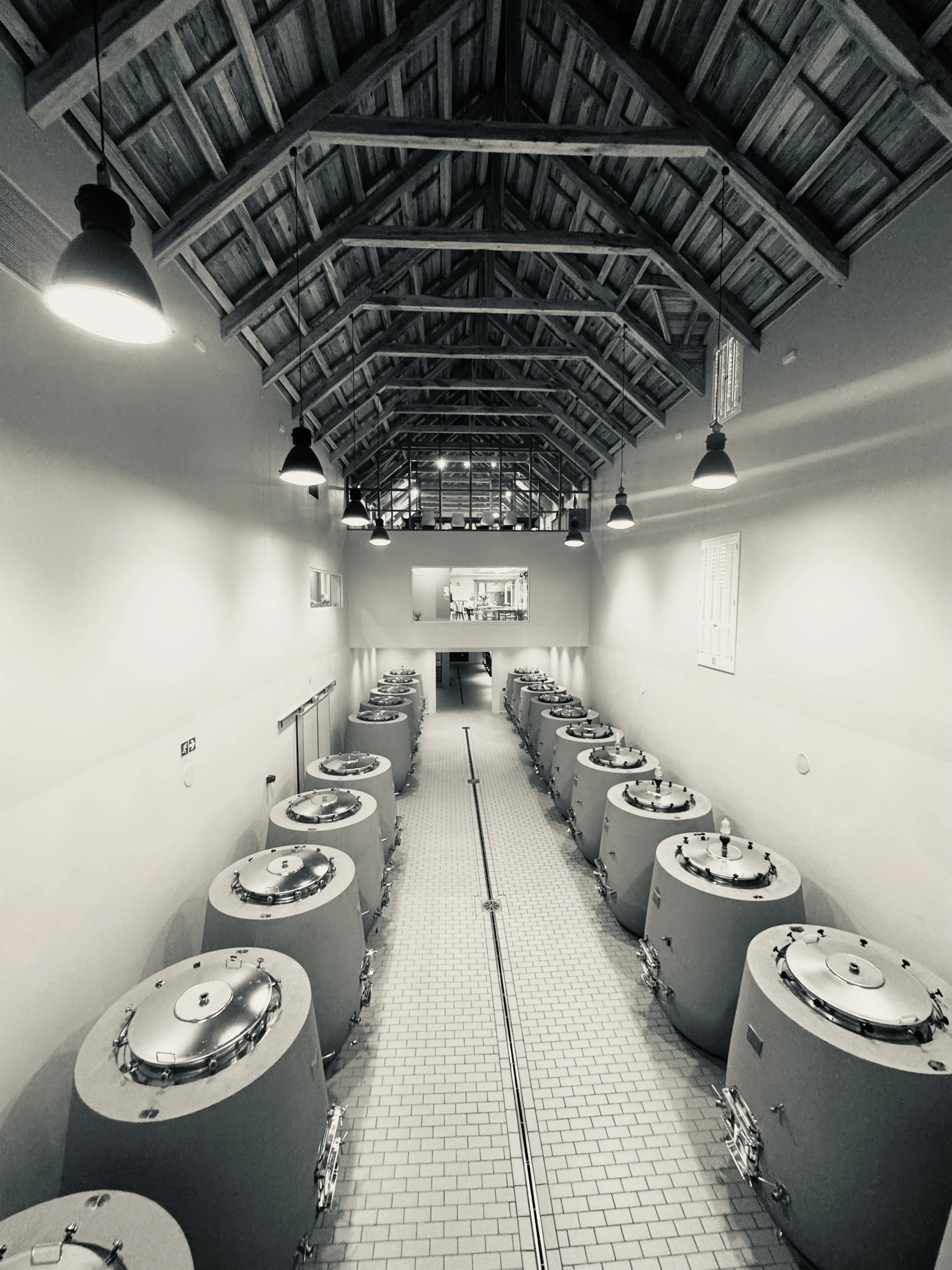 New Cellar Interior.jpeg