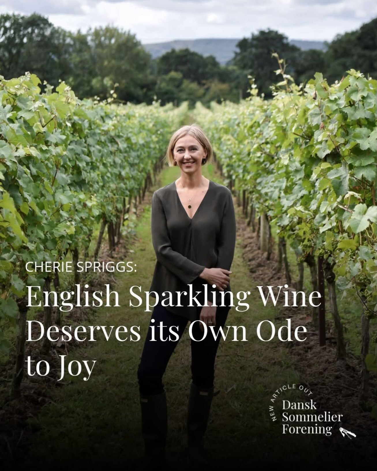 NEW ARTICLE OUT: English Sparkling Wine Deserves its Own Ode to Joy &ndash; and Cherie Spriggs is Writing it

Not with Beethoven&rsquo;s drama, but with Chopin&rsquo;s quiet depth and elegance. The winemaker who became the first person outside Champa